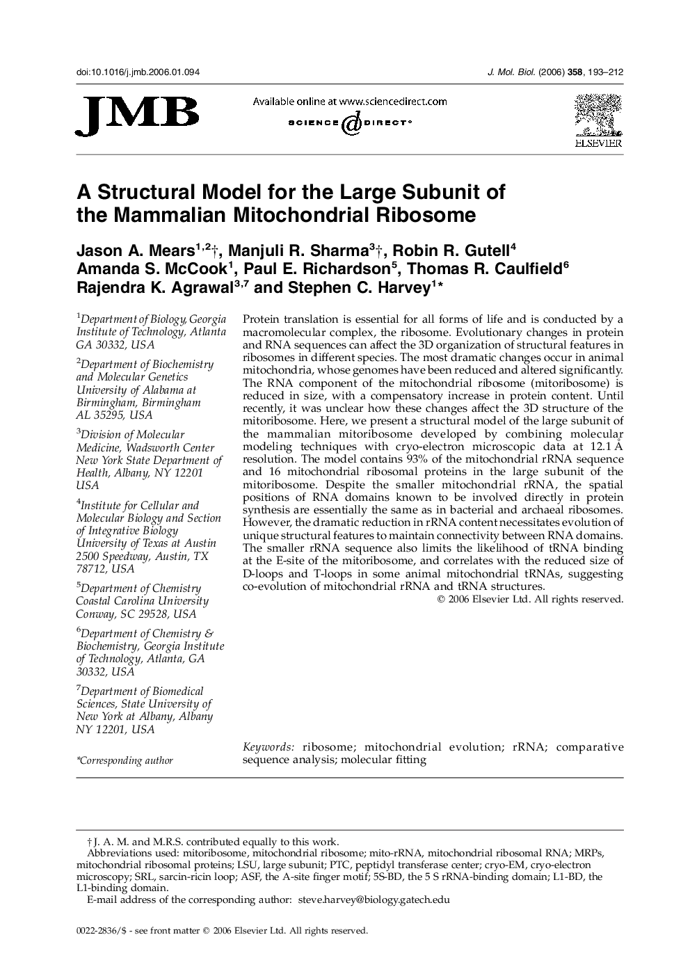 A Structural Model for the Large Subunit of the Mammalian Mitochondrial Ribosome