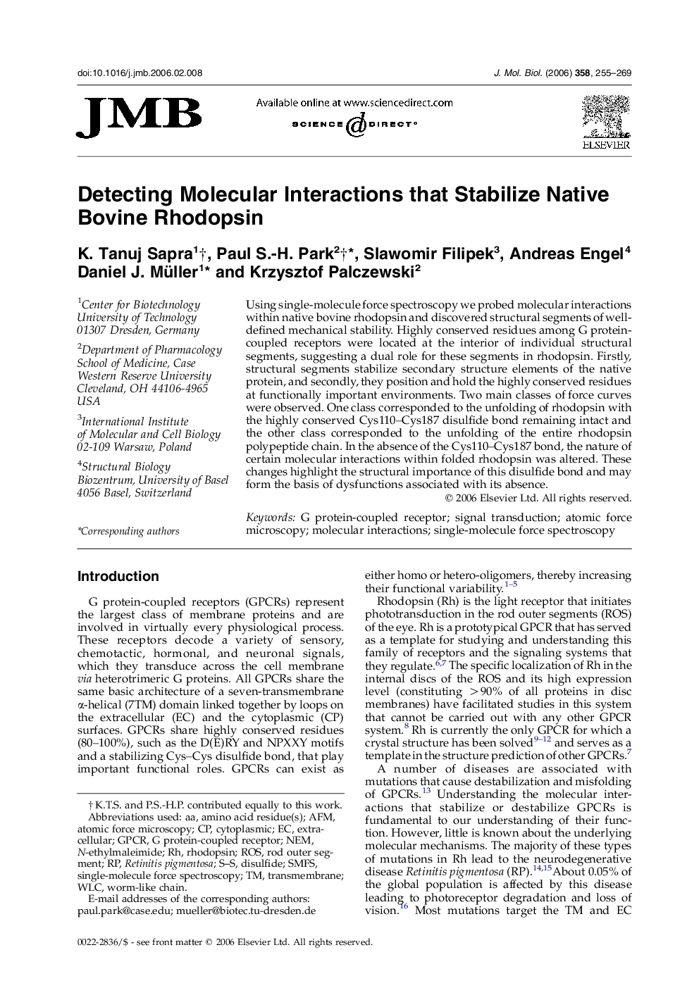 Detecting Molecular Interactions that Stabilize Native Bovine Rhodopsin