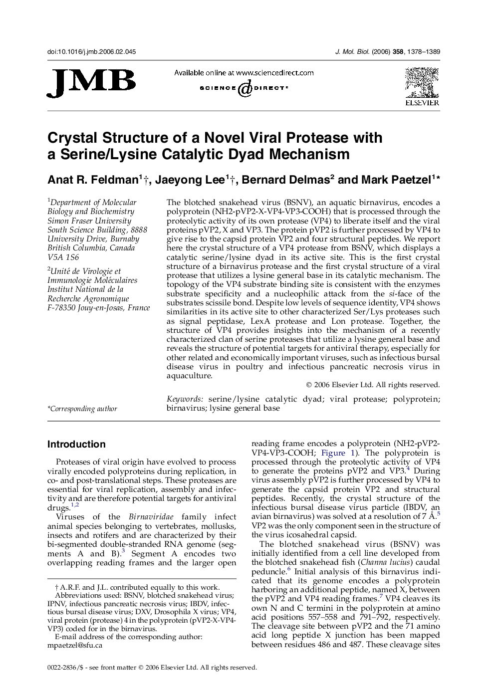 Crystal Structure of a Novel Viral Protease with a Serine/Lysine Catalytic Dyad Mechanism