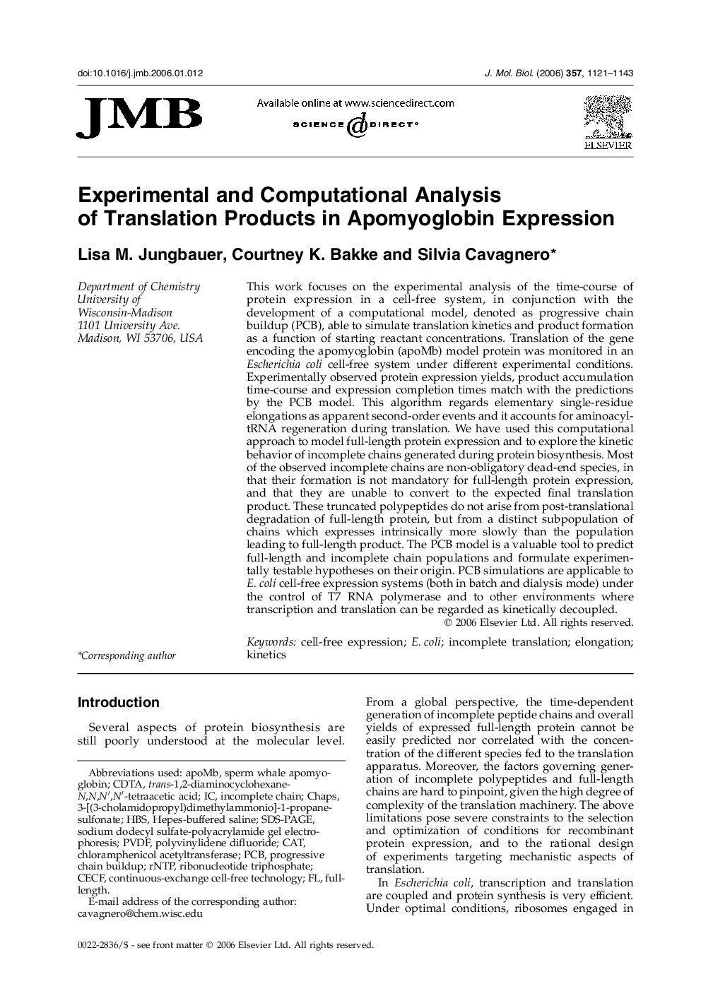 Experimental and Computational Analysis of Translation Products in Apomyoglobin Expression