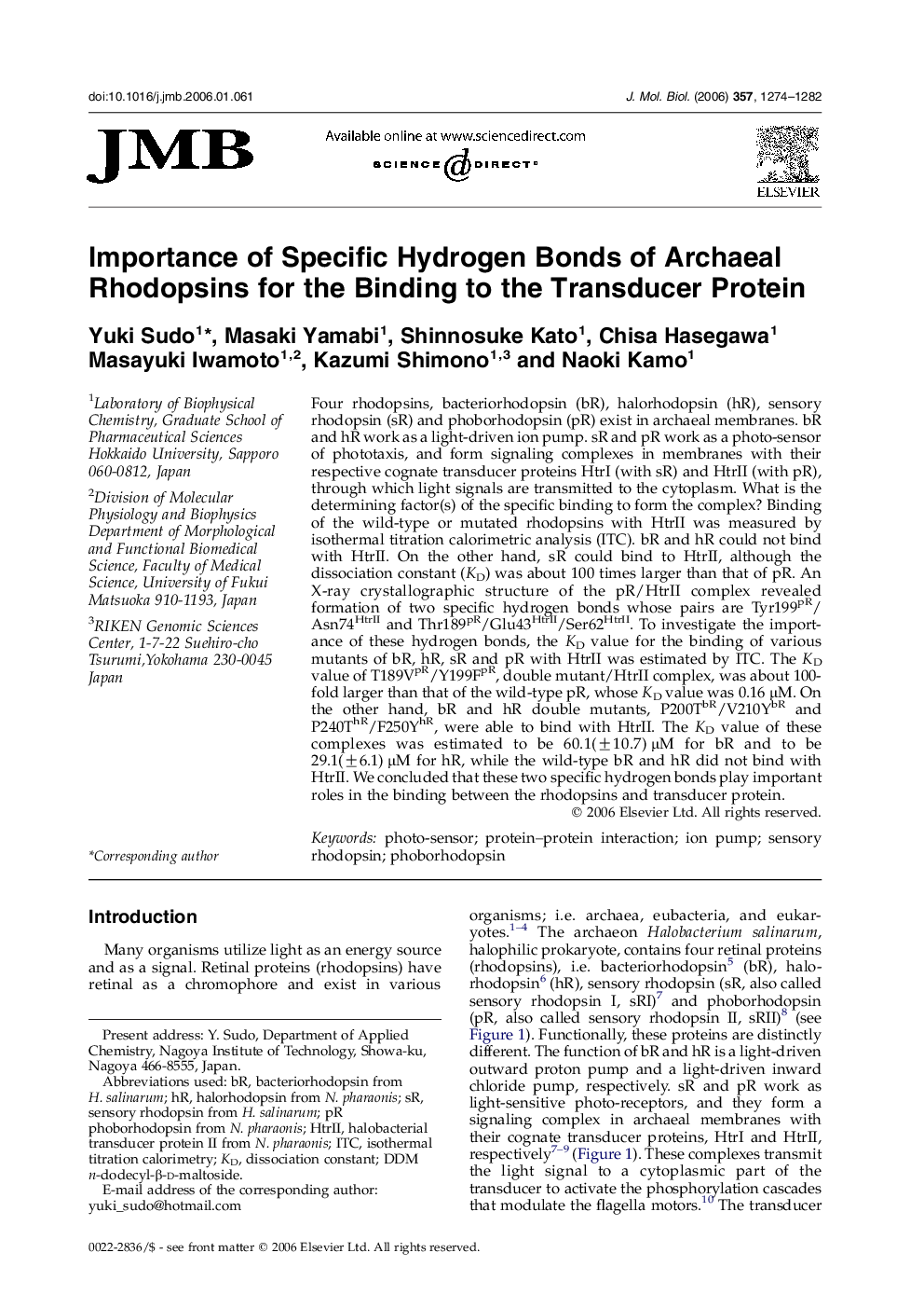 Importance of Specific Hydrogen Bonds of Archaeal Rhodopsins for the Binding to the Transducer Protein