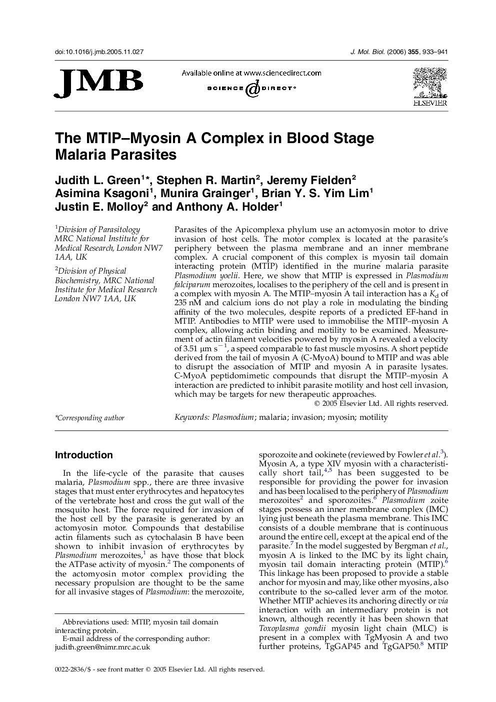 The MTIP–Myosin A Complex in Blood Stage Malaria Parasites