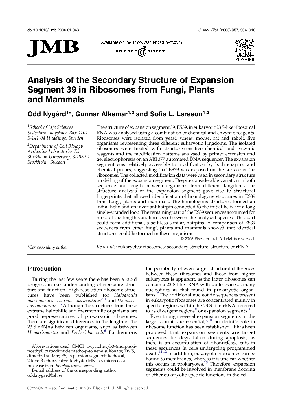 Analysis of the Secondary Structure of Expansion Segment 39 in Ribosomes from Fungi, Plants and Mammals