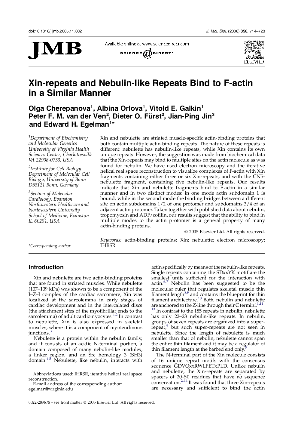 Xin-repeats and Nebulin-like Repeats Bind to F-actin in a Similar Manner