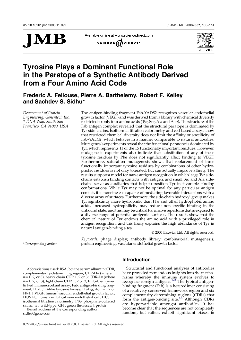 Tyrosine Plays a Dominant Functional Role in the Paratope of a Synthetic Antibody Derived from a Four Amino Acid Code