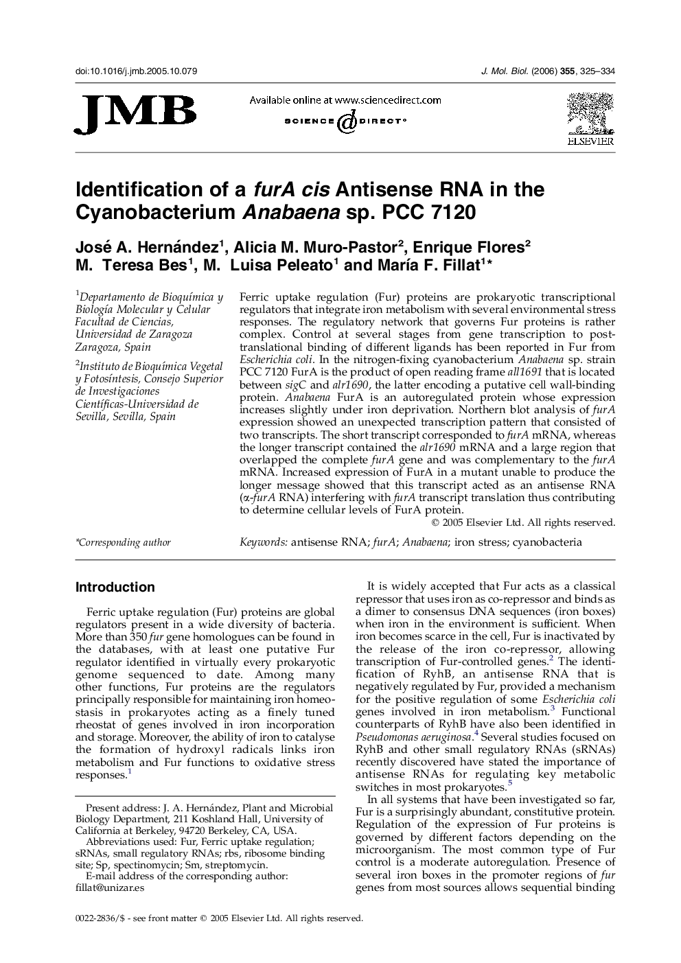 Identification of a furA cis Antisense RNA in the Cyanobacterium Anabaena sp. PCC 7120