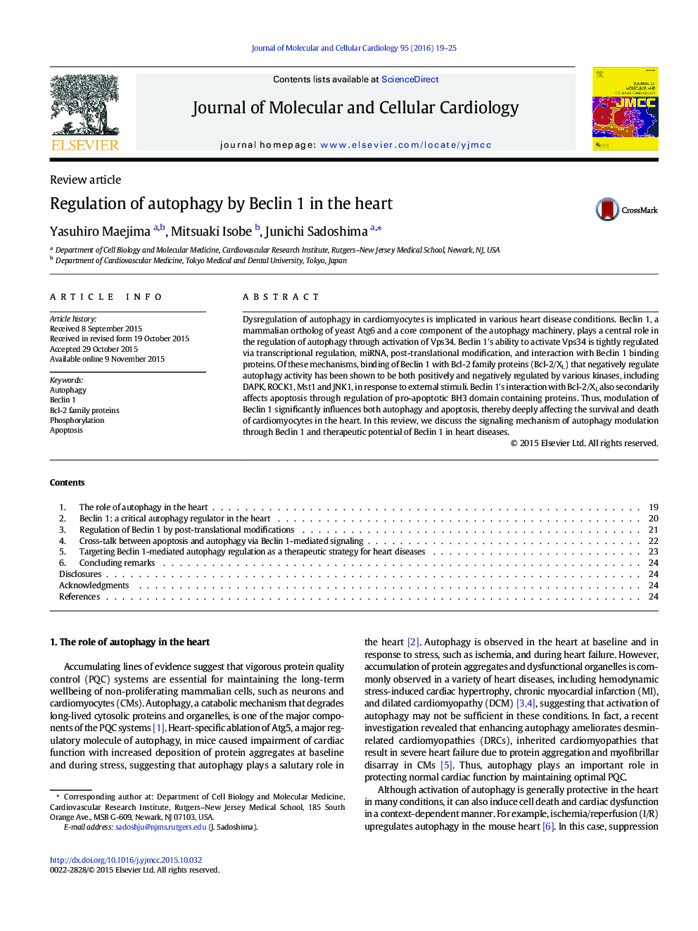 Regulation of autophagy by Beclin 1 in the heart