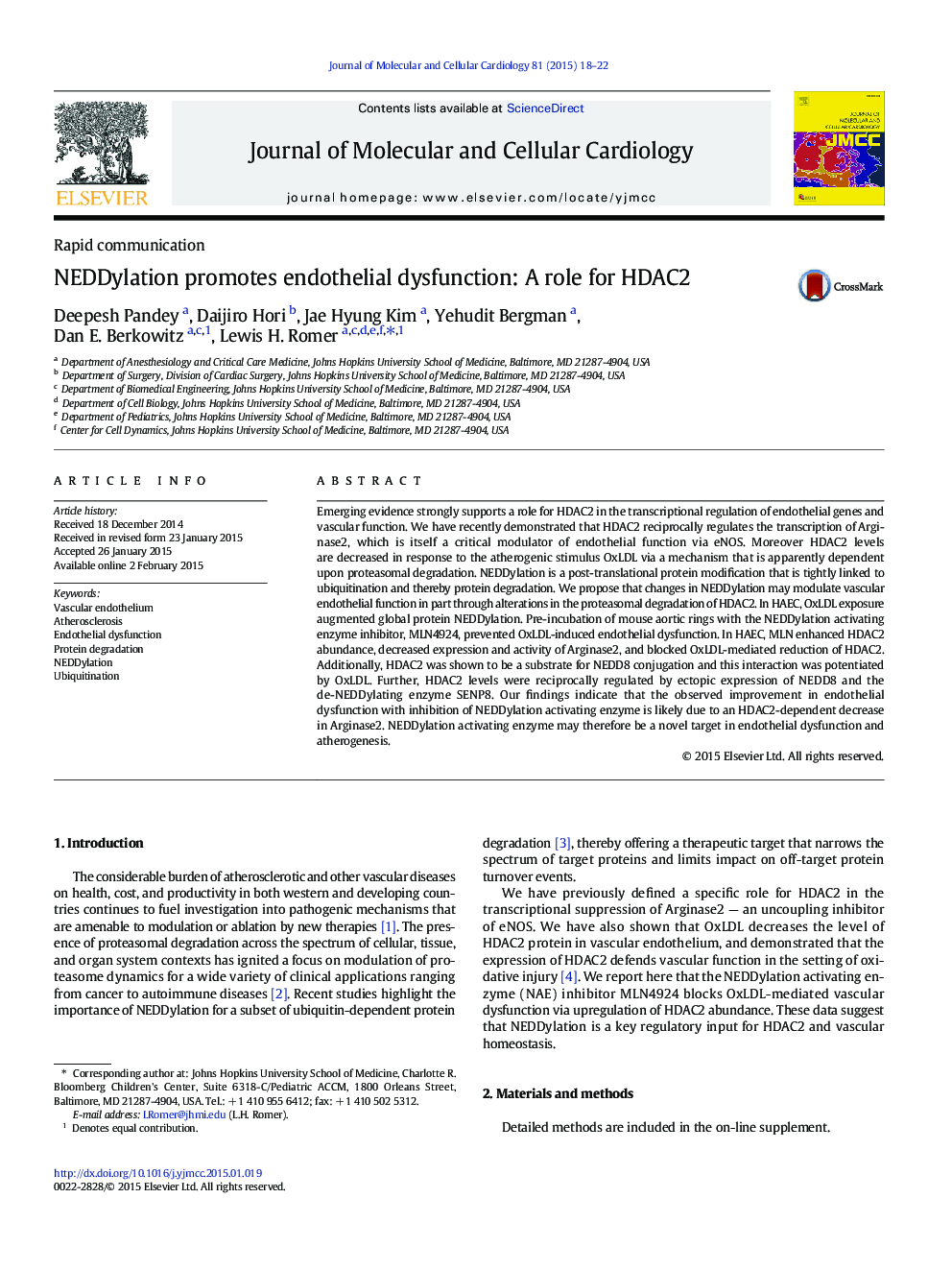 NEDDylation promotes endothelial dysfunction: A role for HDAC2