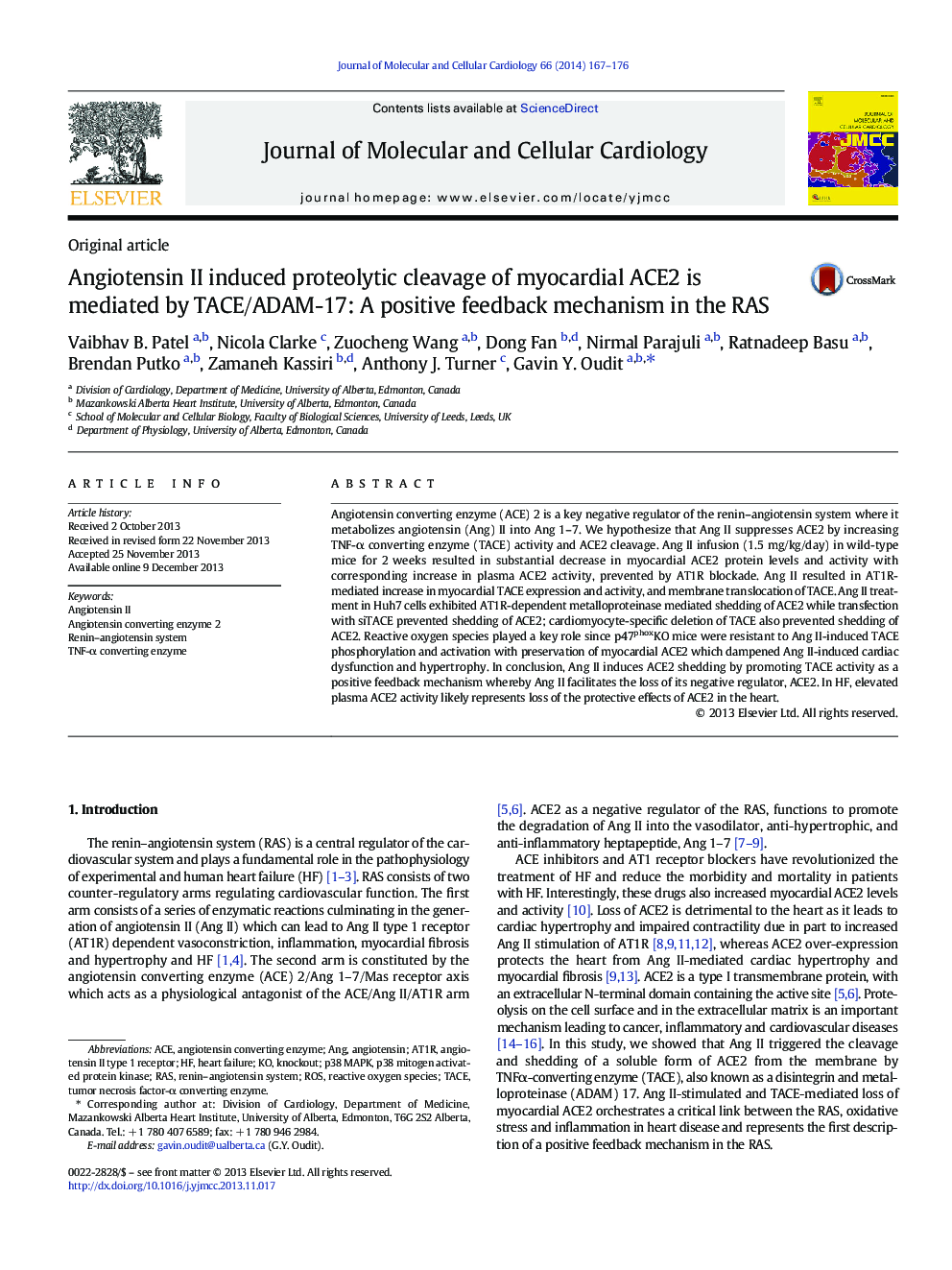 Angiotensin II induced proteolytic cleavage of myocardial ACE2 is mediated by TACE/ADAM-17: A positive feedback mechanism in the RAS