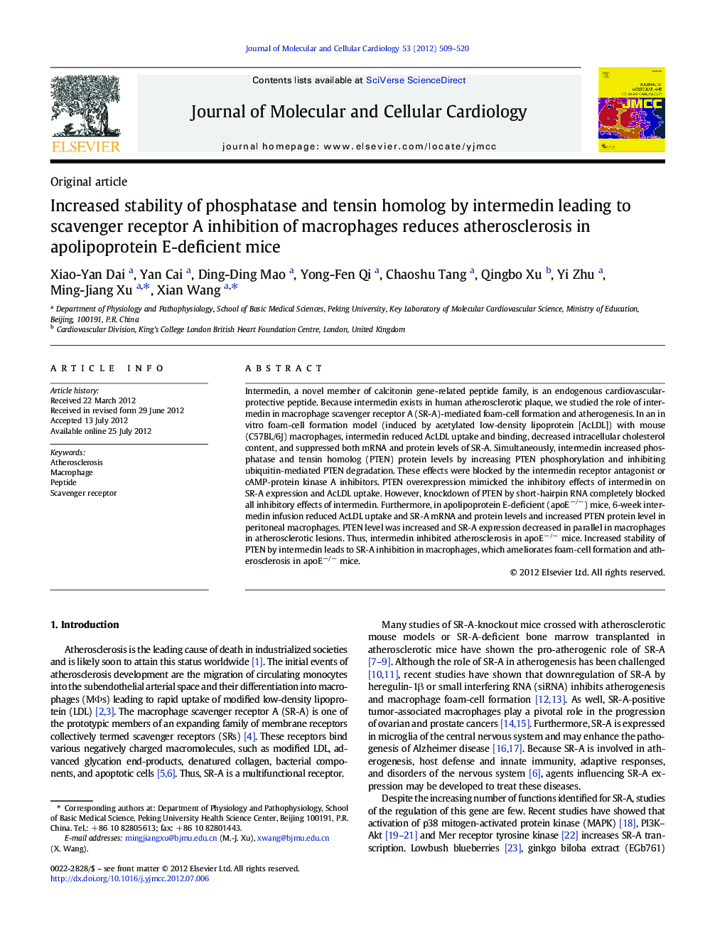 Increased stability of phosphatase and tensin homolog by intermedin leading to scavenger receptor A inhibition of macrophages reduces atherosclerosis in apolipoprotein E-deficient mice