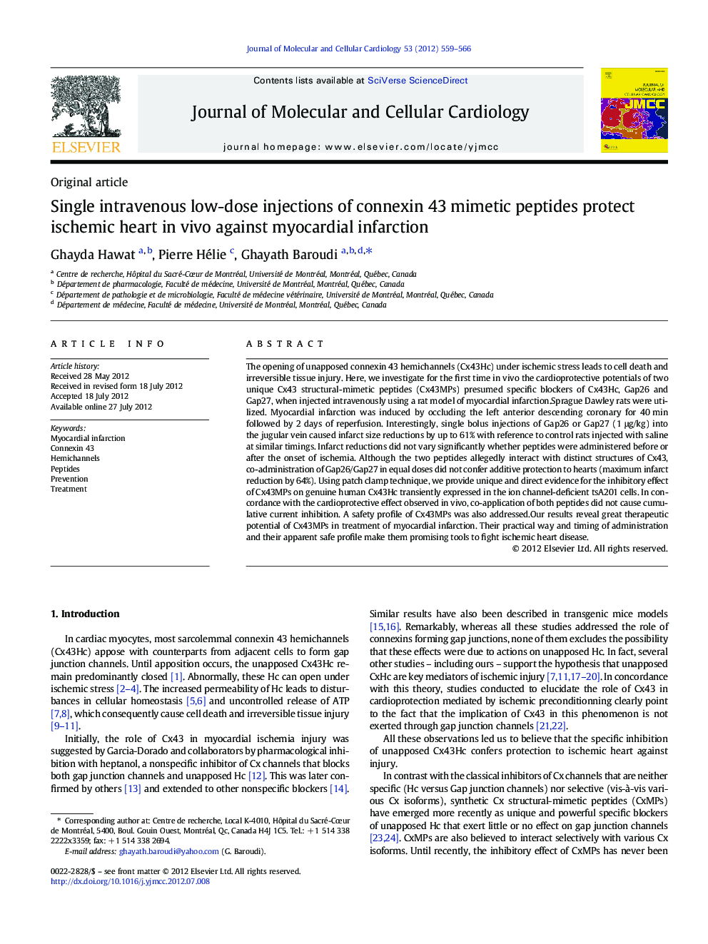 Single intravenous low-dose injections of connexin 43 mimetic peptides protect ischemic heart in vivo against myocardial infarction