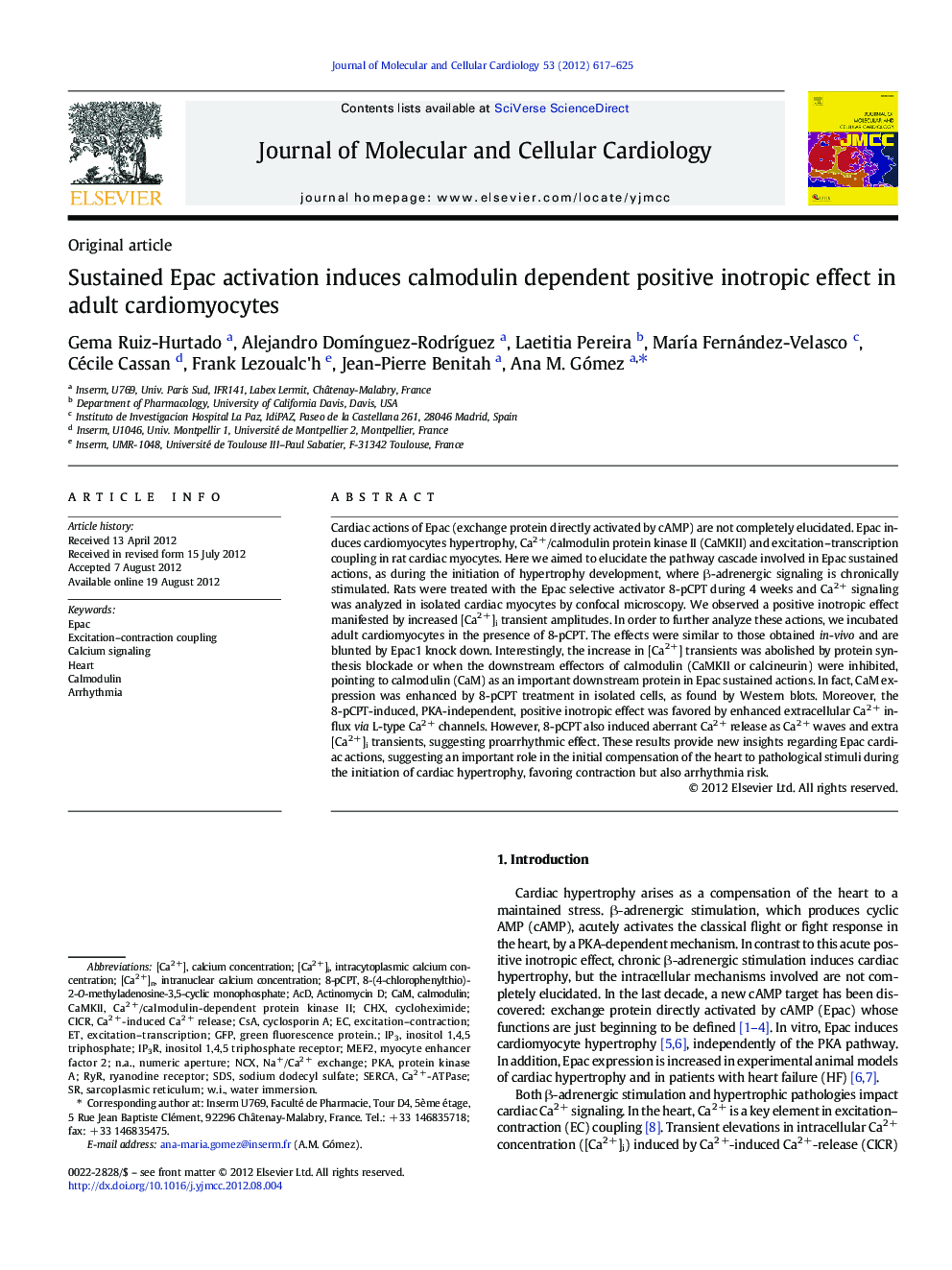 Sustained Epac activation induces calmodulin dependent positive inotropic effect in adult cardiomyocytes