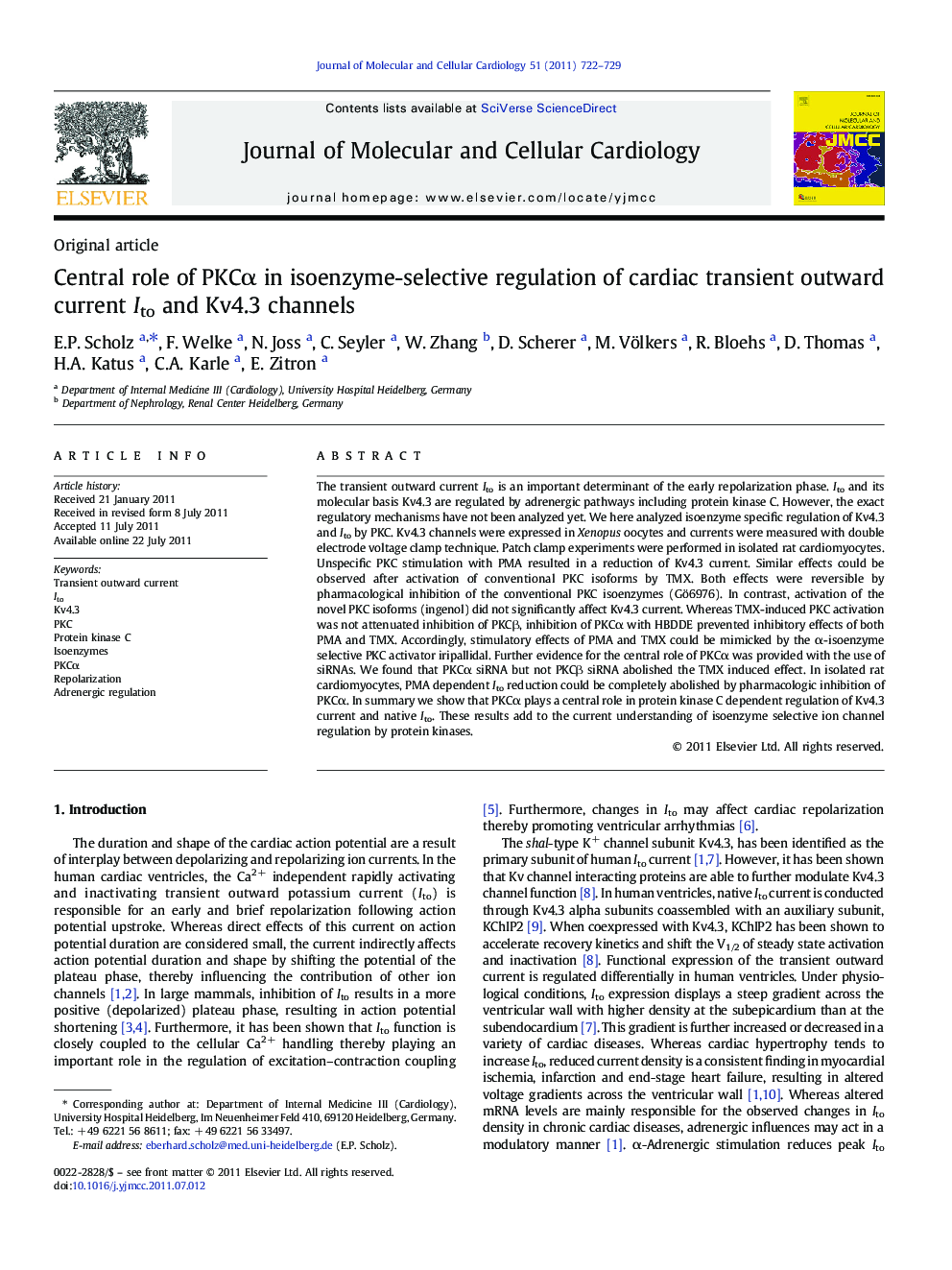 Central role of PKCα in isoenzyme-selective regulation of cardiac transient outward current Ito and Kv4.3 channels