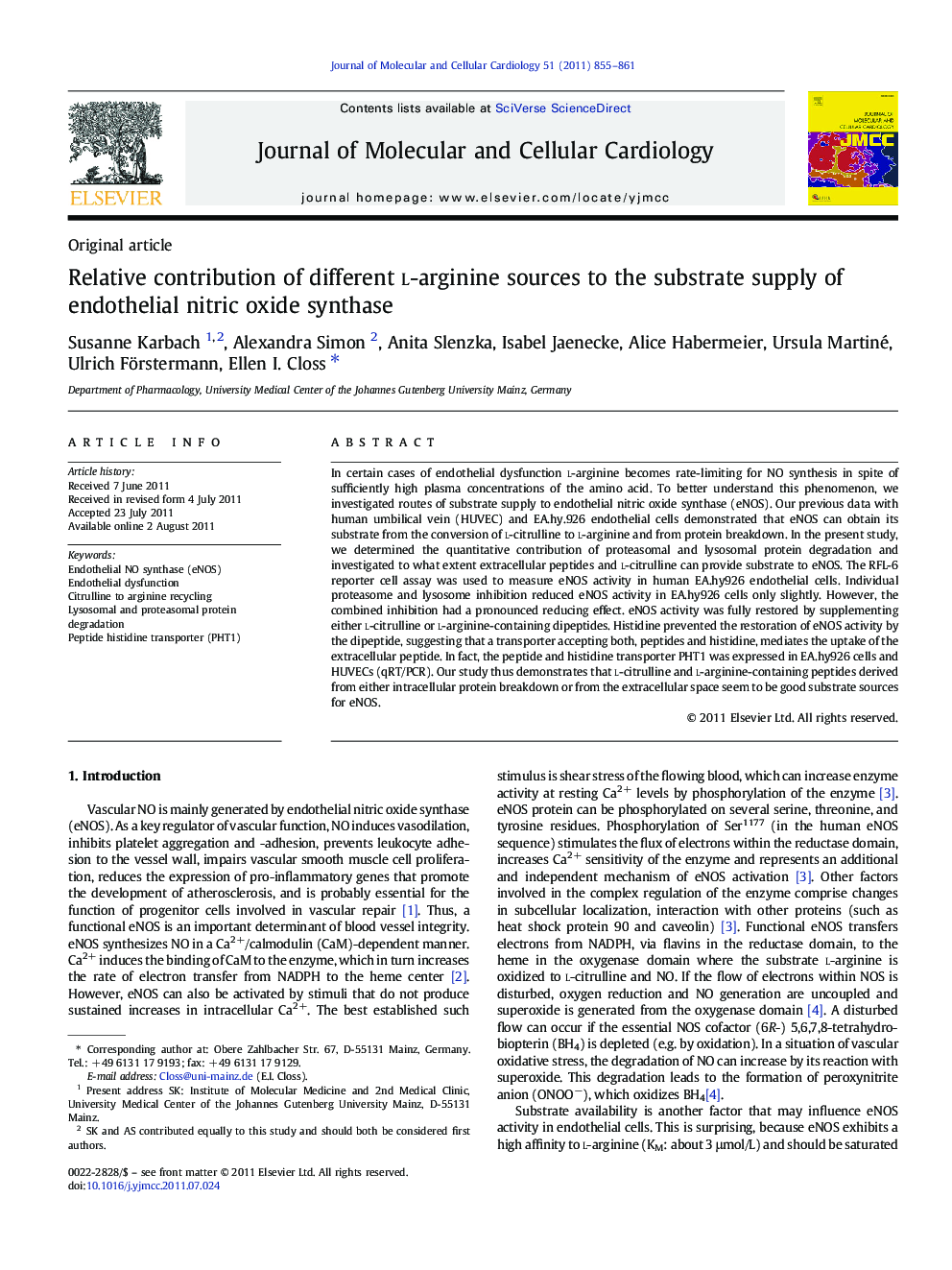 Relative contribution of different l-arginine sources to the substrate supply of endothelial nitric oxide synthase