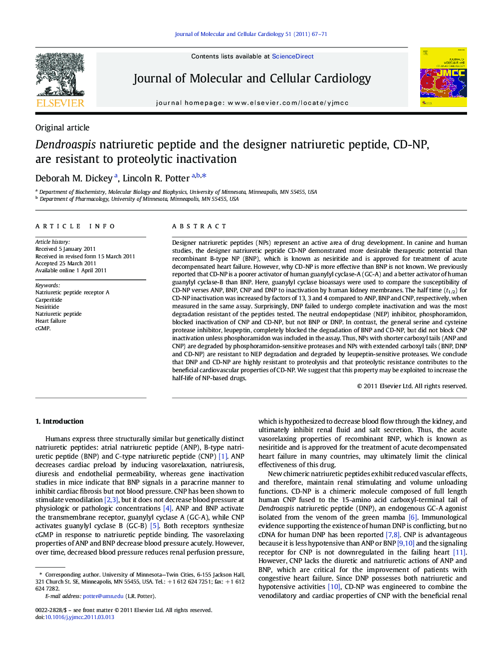 Dendroaspis natriuretic peptide and the designer natriuretic peptide, CD-NP, are resistant to proteolytic inactivation