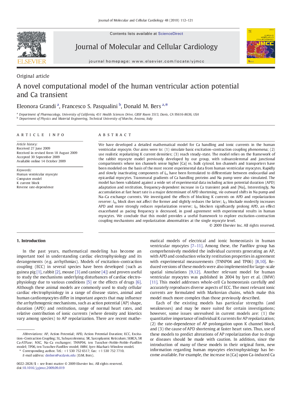 A novel computational model of the human ventricular action potential and Ca transient