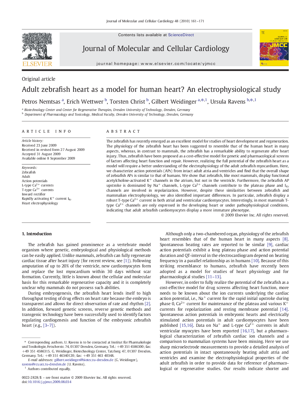 Adult zebrafish heart as a model for human heart? An electrophysiological study