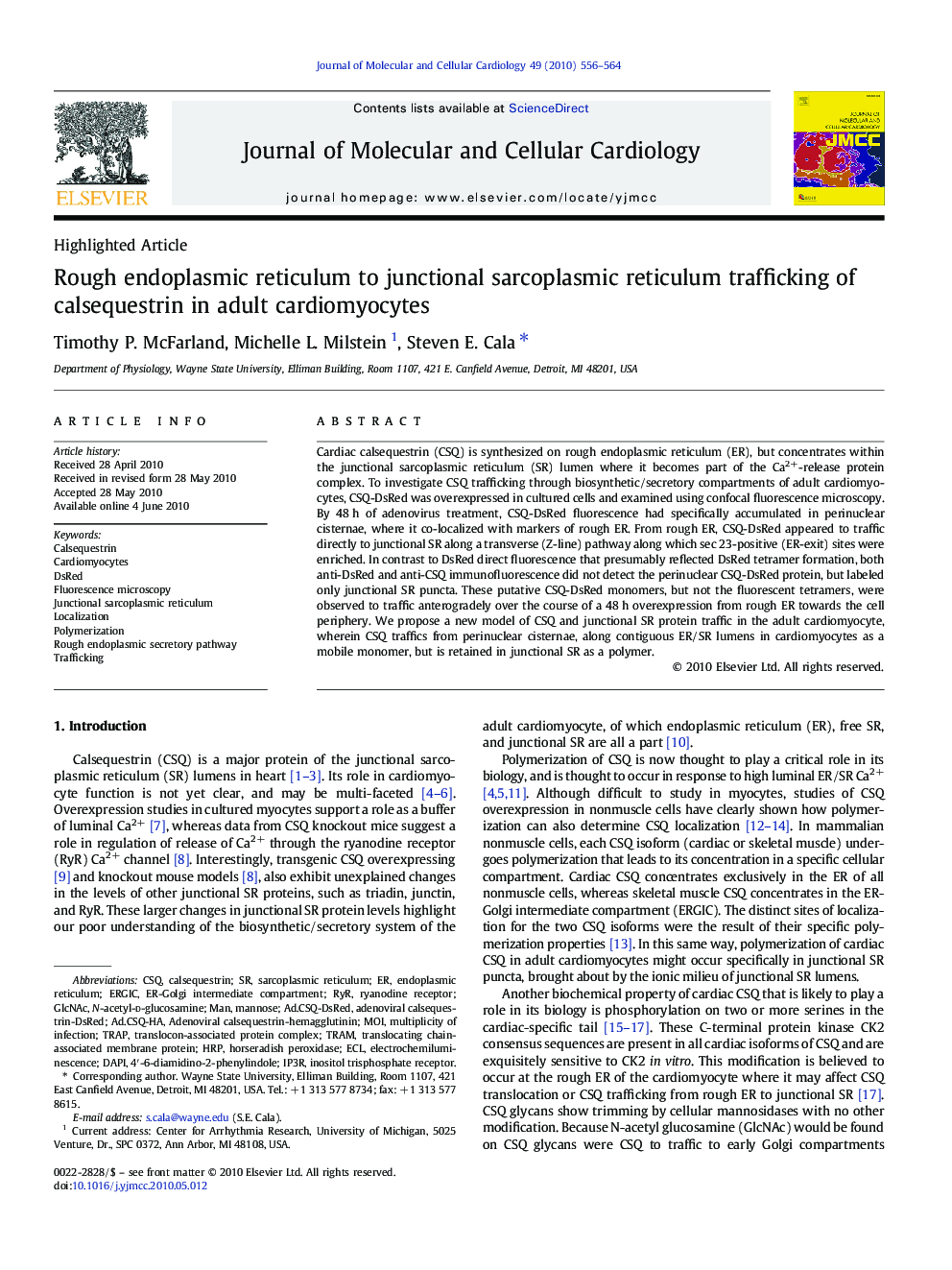 Rough endoplasmic reticulum to junctional sarcoplasmic reticulum trafficking of calsequestrin in adult cardiomyocytes