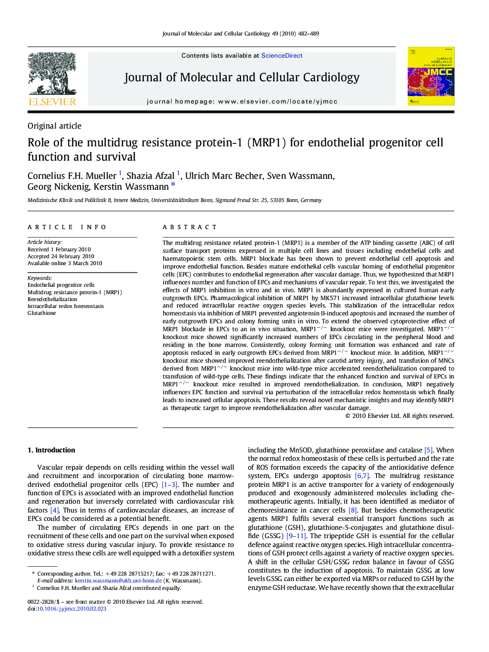 Role of the multidrug resistance protein-1 (MRP1) for endothelial progenitor cell function and survival