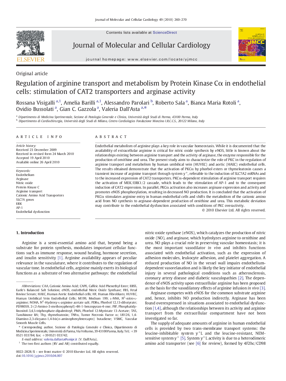 Regulation of arginine transport and metabolism by Protein Kinase Cα in endothelial cells: stimulation of CAT2 transporters and arginase activity