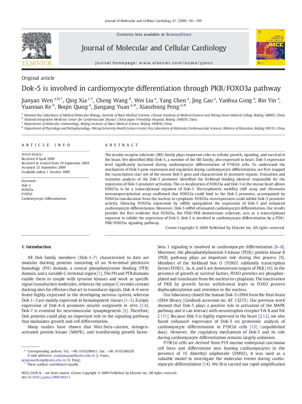 Dok-5 is involved in cardiomyocyte differentiation through PKB/FOXO3a pathway