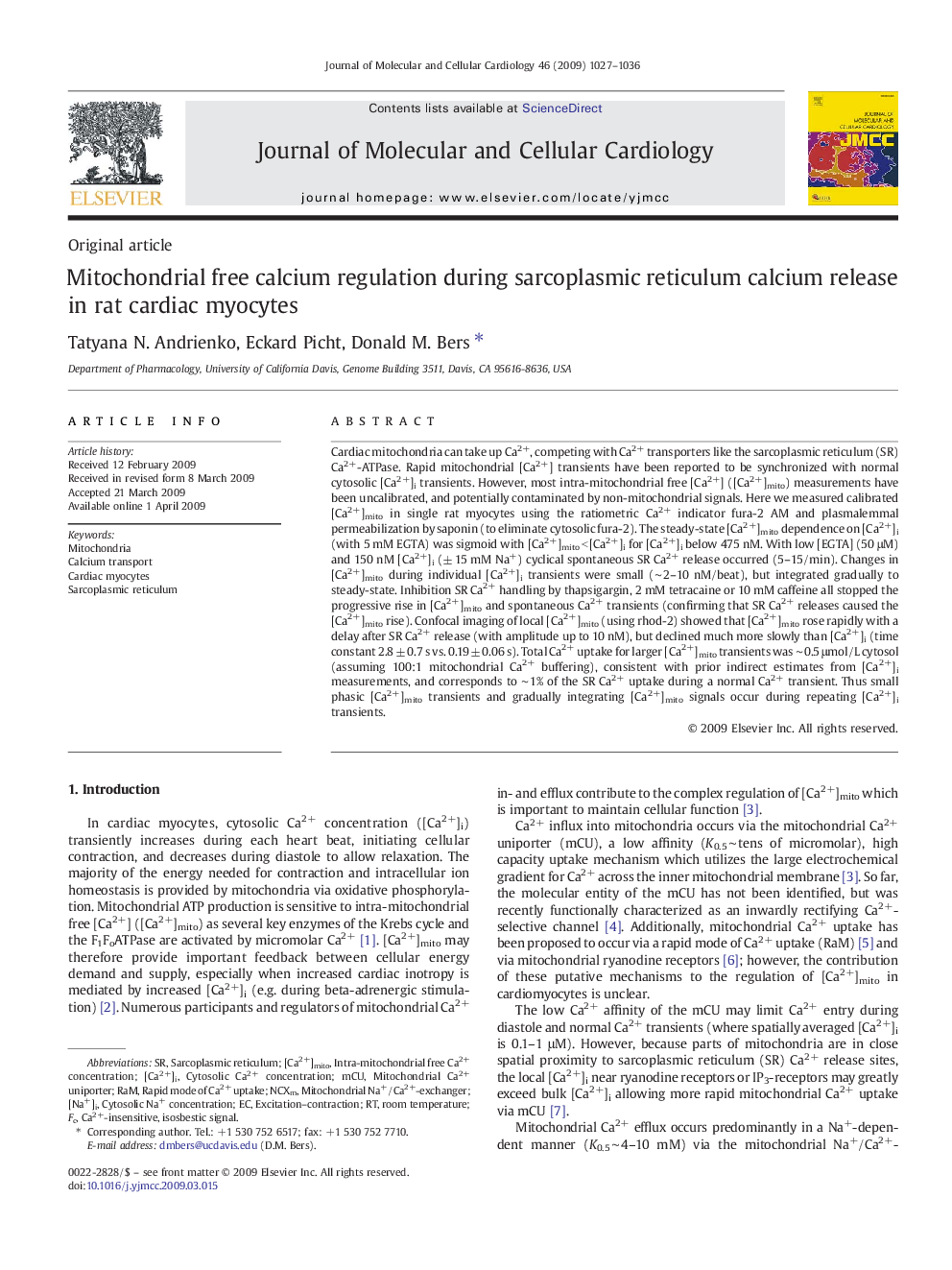 Mitochondrial free calcium regulation during sarcoplasmic reticulum calcium release in rat cardiac myocytes