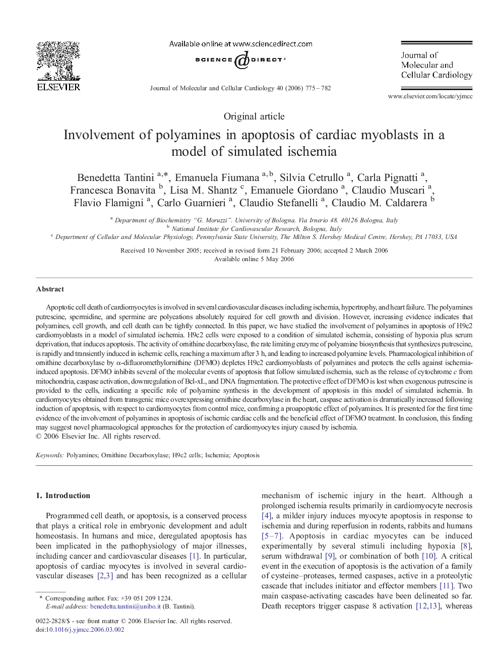 Involvement of polyamines in apoptosis of cardiac myoblasts in a model of simulated ischemia