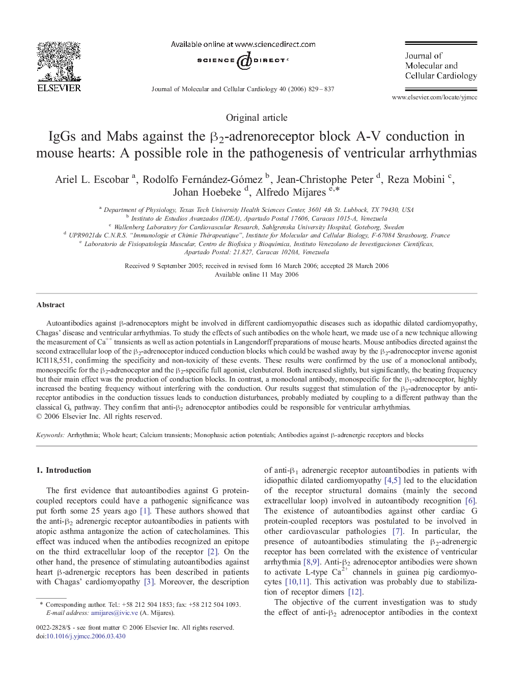 IgGs and Mabs against the β2-adrenoreceptor block A-V conduction in mouse hearts: A possible role in the pathogenesis of ventricular arrhythmias