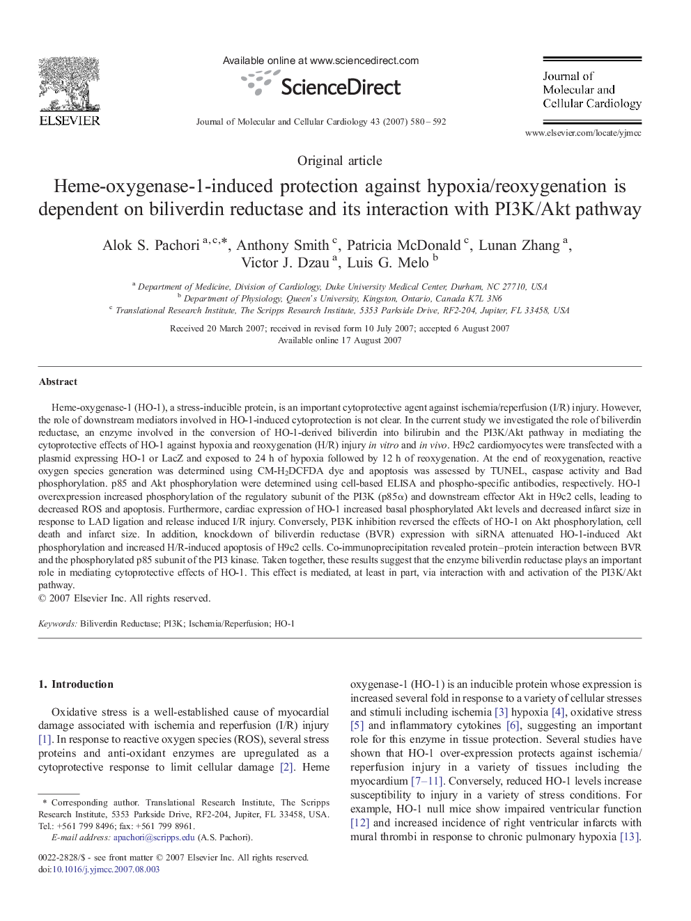 Heme-oxygenase-1-induced protection against hypoxia/reoxygenation is dependent on biliverdin reductase and its interaction with PI3K/Akt pathway