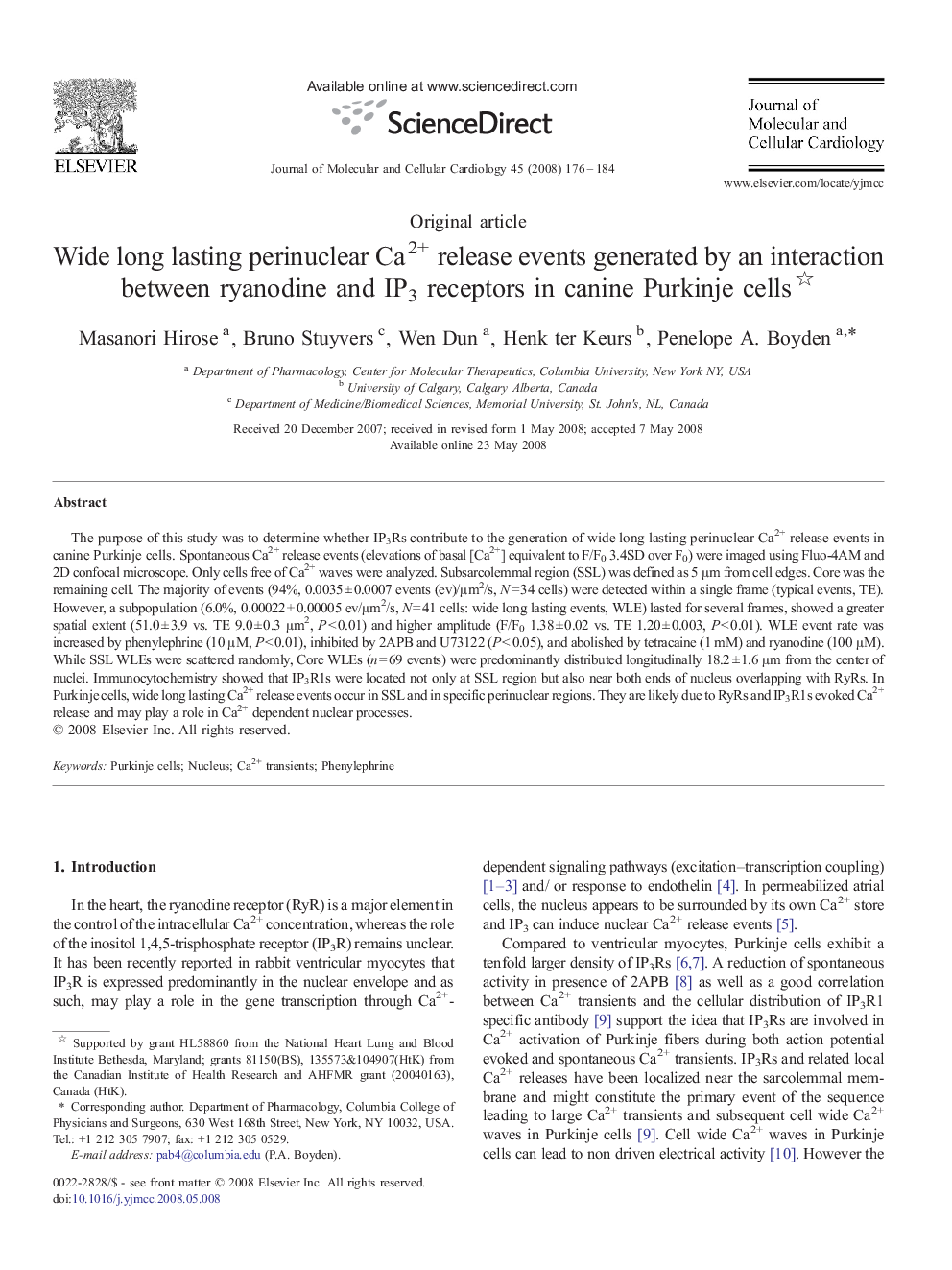 Wide long lasting perinuclear Ca2+ release events generated by an interaction between ryanodine and IP3 receptors in canine Purkinje cells 