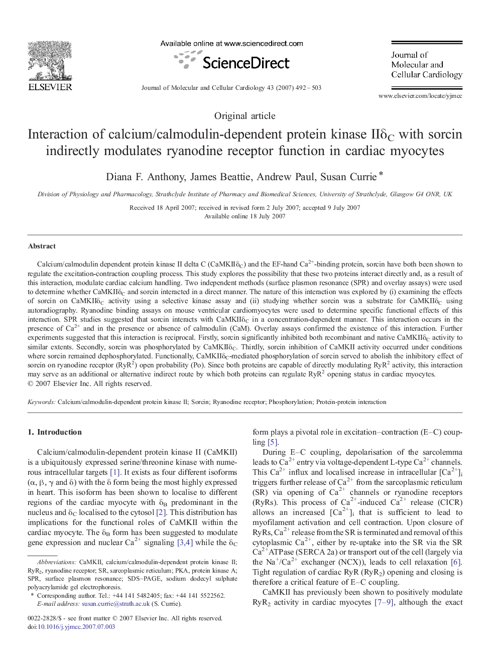 Interaction of calcium/calmodulin-dependent protein kinase IIδC with sorcin indirectly modulates ryanodine receptor function in cardiac myocytes