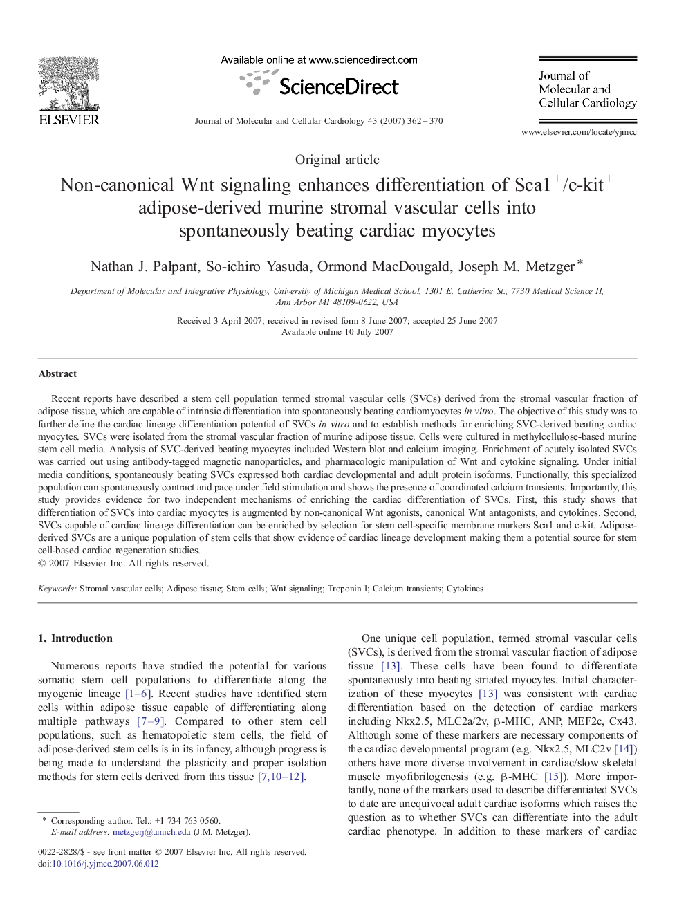 Non-canonical Wnt signaling enhances differentiation of Sca1+/c-kit+ adipose-derived murine stromal vascular cells into spontaneously beating cardiac myocytes