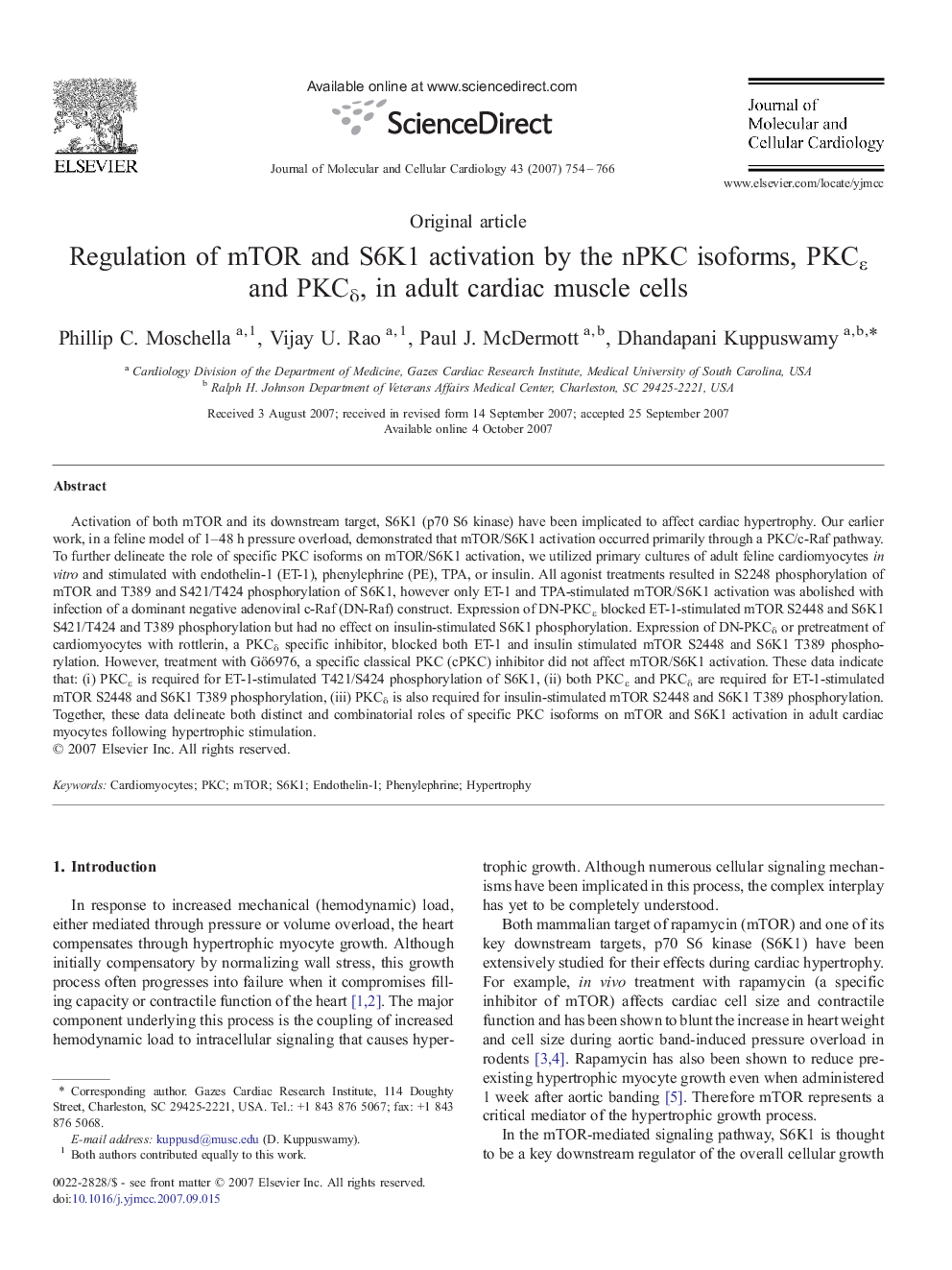 Regulation of mTOR and S6K1 activation by the nPKC isoforms, PKCε and PKCδ, in adult cardiac muscle cells