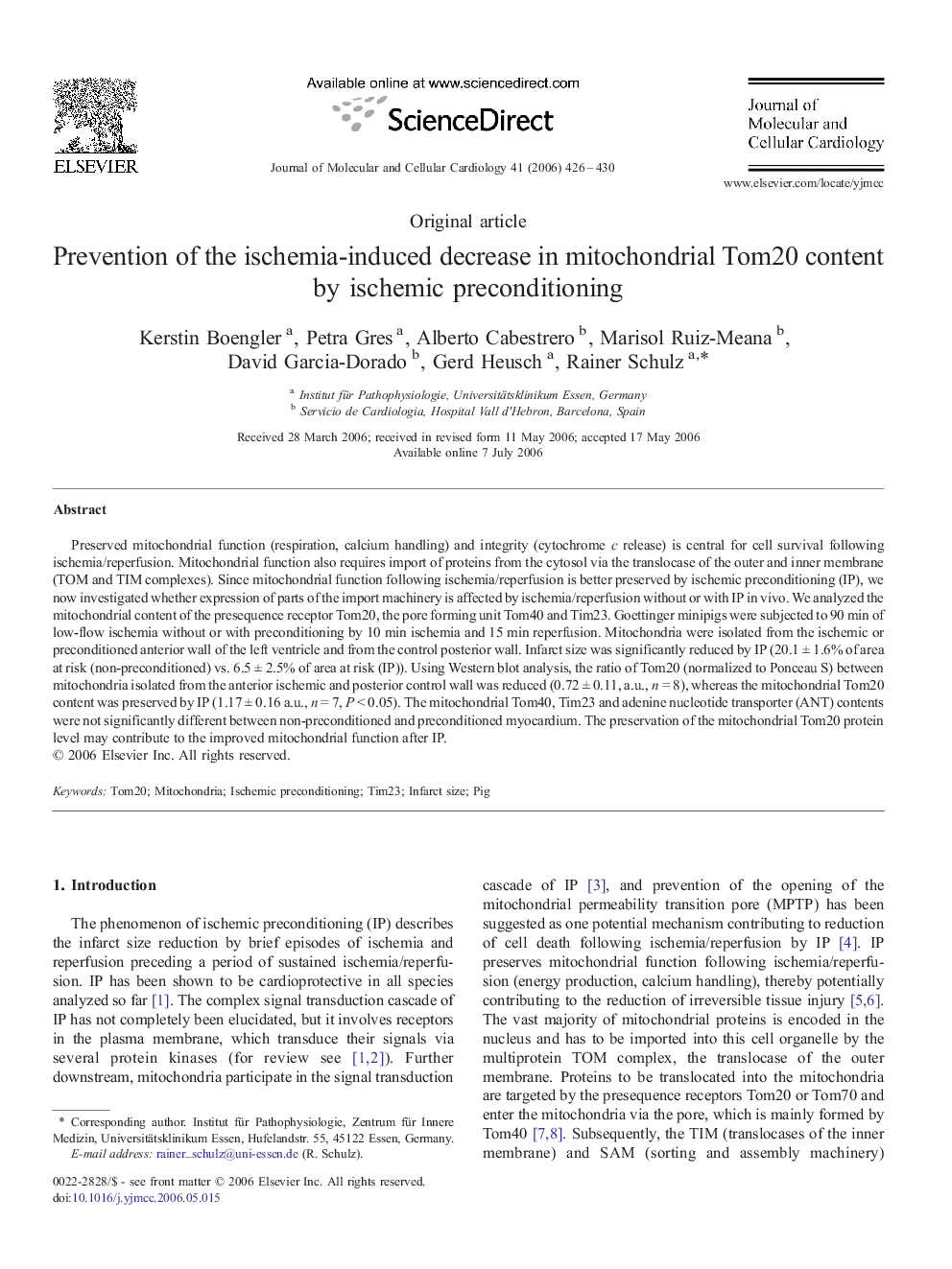 Prevention of the ischemia-induced decrease in mitochondrial Tom20 content by ischemic preconditioning