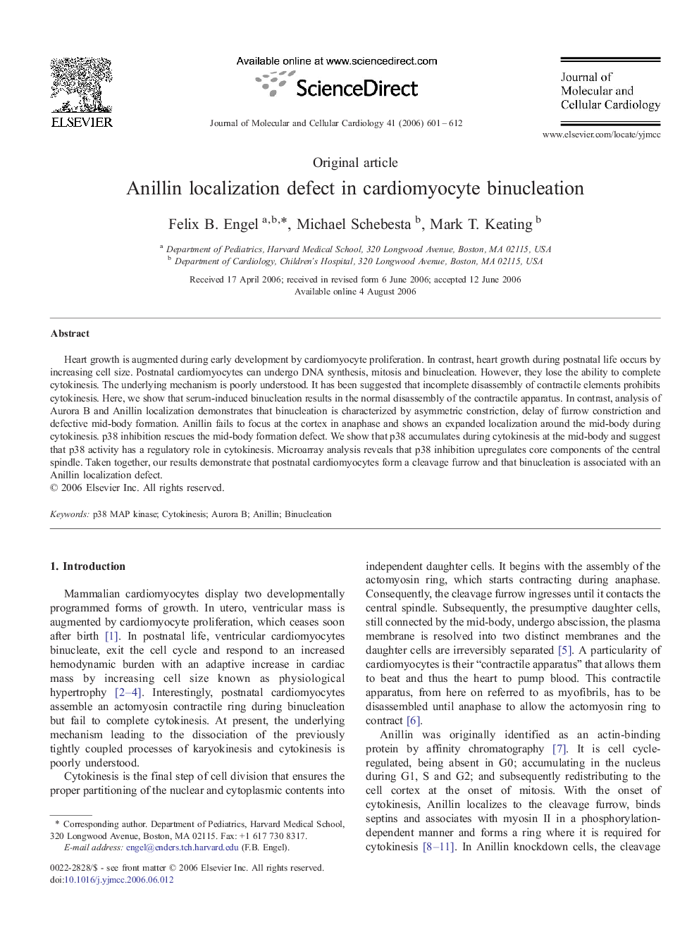 Anillin localization defect in cardiomyocyte binucleation