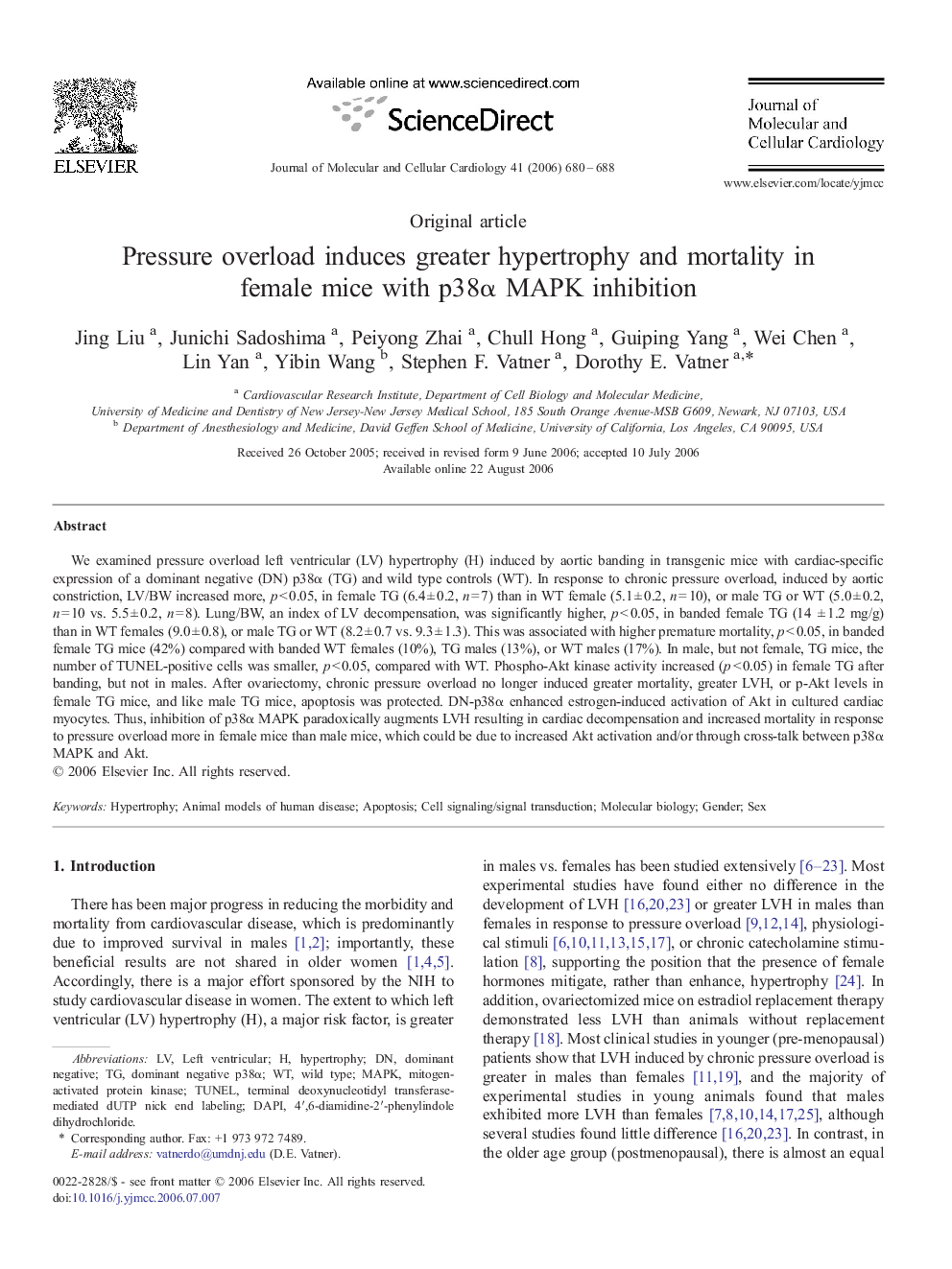 Pressure overload induces greater hypertrophy and mortality in female mice with p38α MAPK inhibition