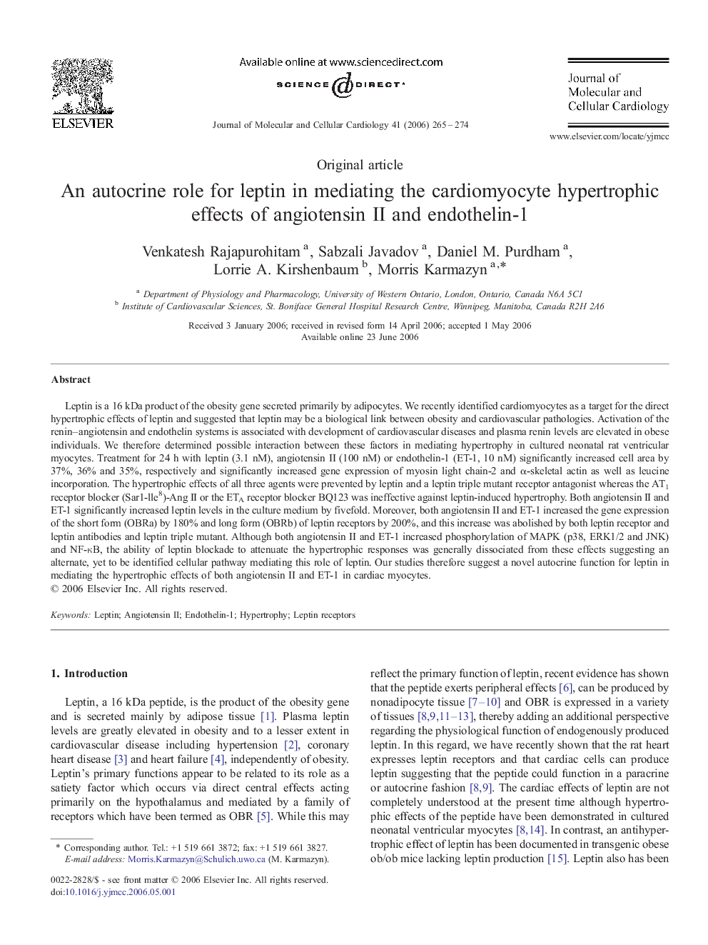 An autocrine role for leptin in mediating the cardiomyocyte hypertrophic effects of angiotensin II and endothelin-1