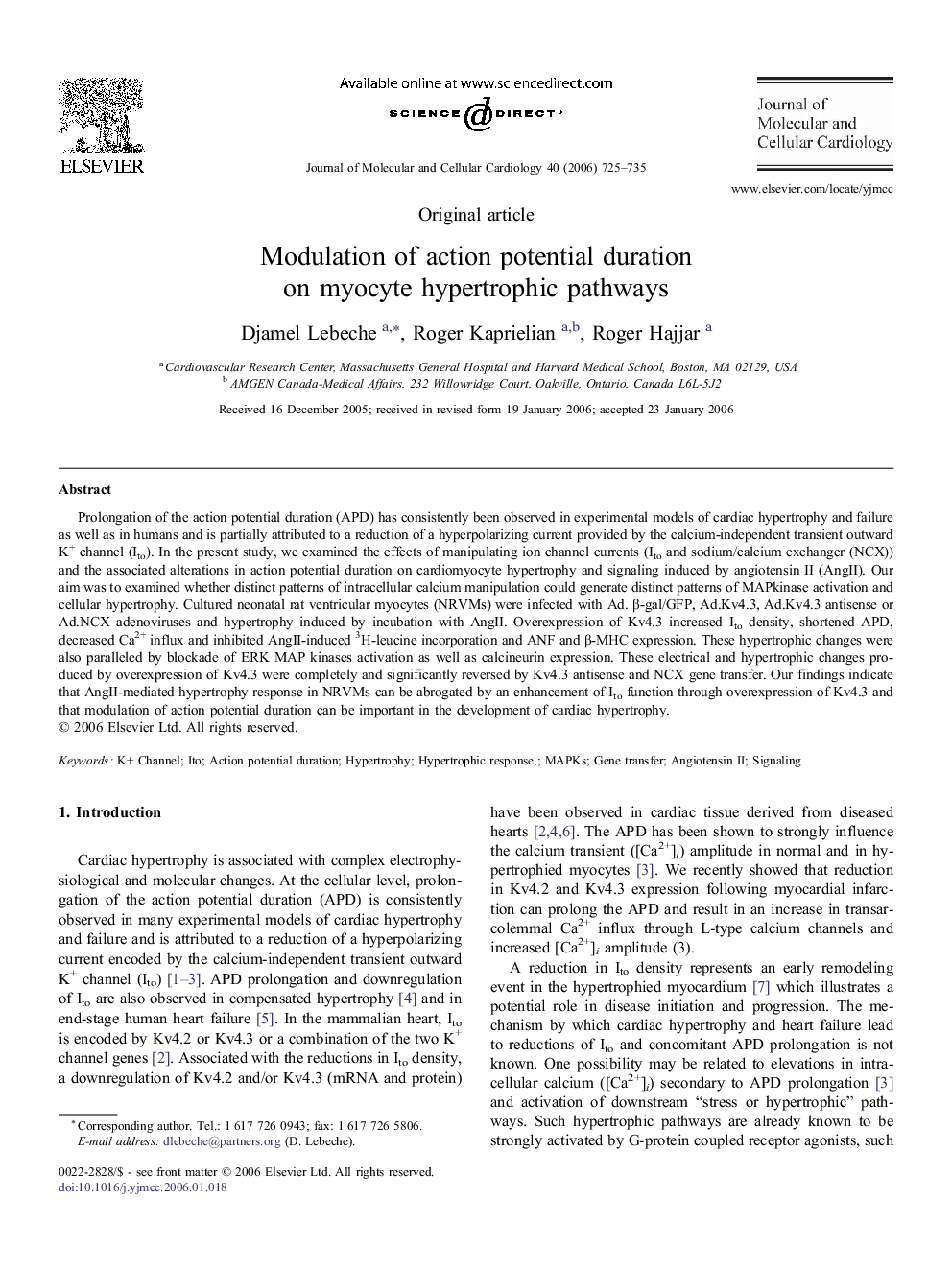 Modulation of action potential duration on myocyte hypertrophic pathways