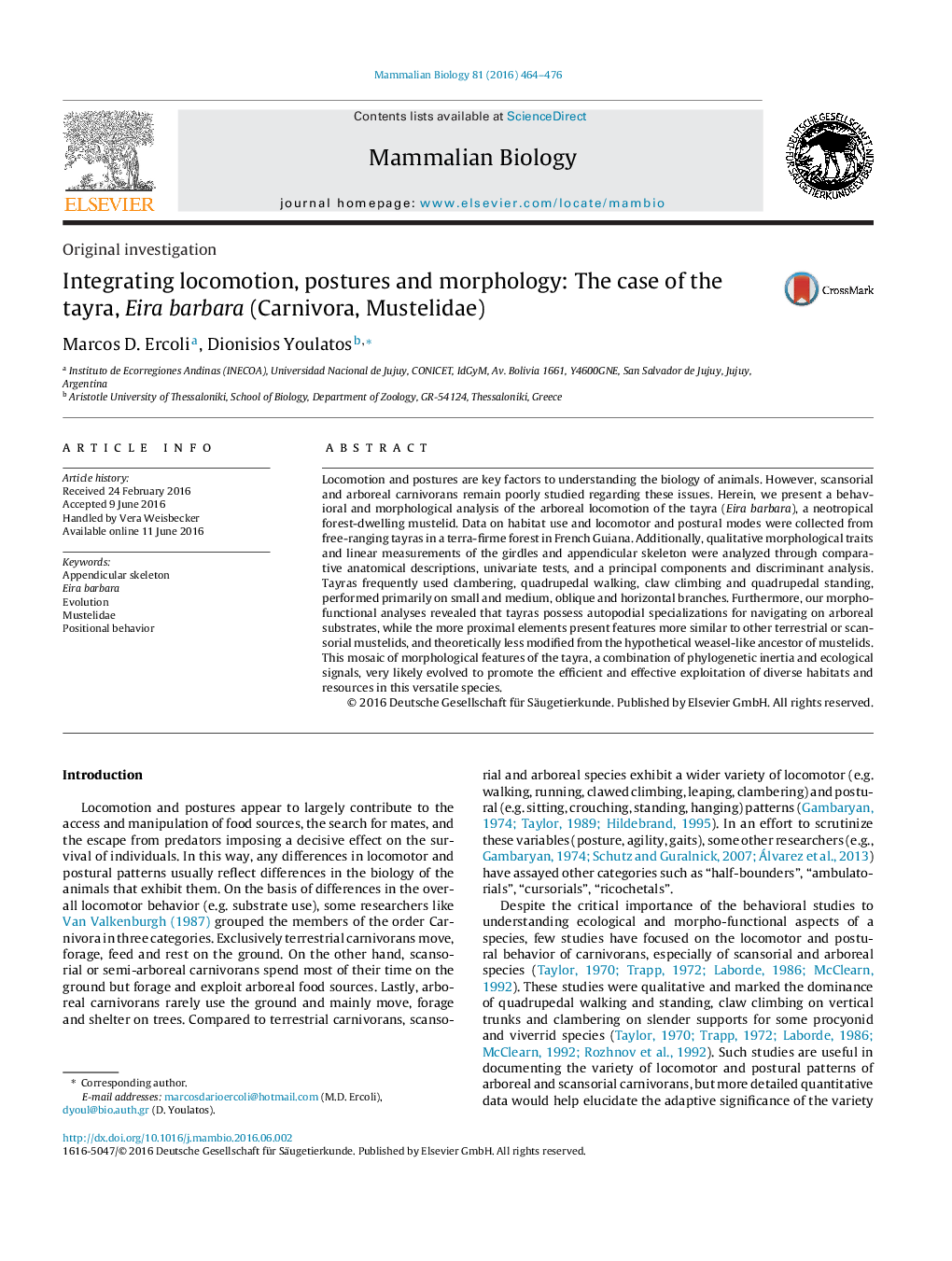 Integrating locomotion, postures and morphology: The case of the tayra, Eira barbara (Carnivora, Mustelidae)