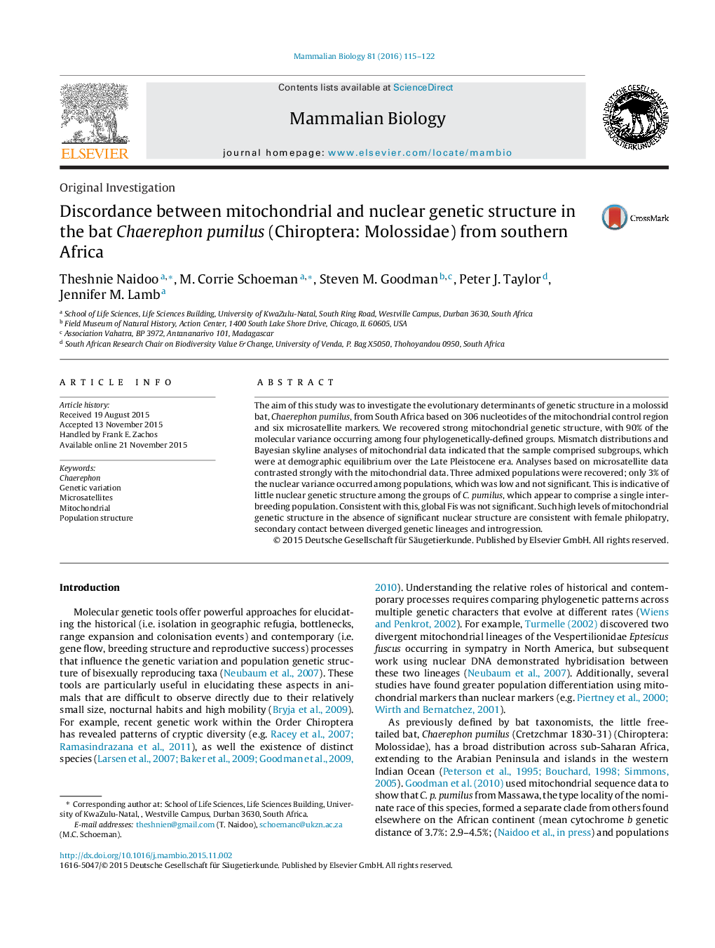 Discordance between mitochondrial and nuclear genetic structure in the bat Chaerephon pumilus (Chiroptera: Molossidae) from southern Africa