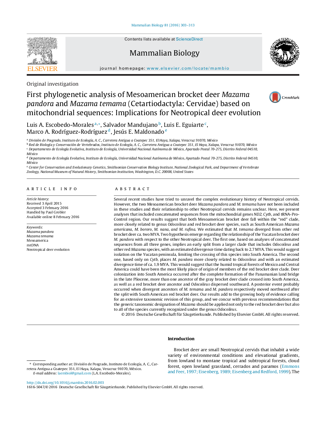 First phylogenetic analysis of Mesoamerican brocket deer Mazama pandora and Mazama temama (Cetartiodactyla: Cervidae) based on mitochondrial sequences: Implications for Neotropical deer evolution