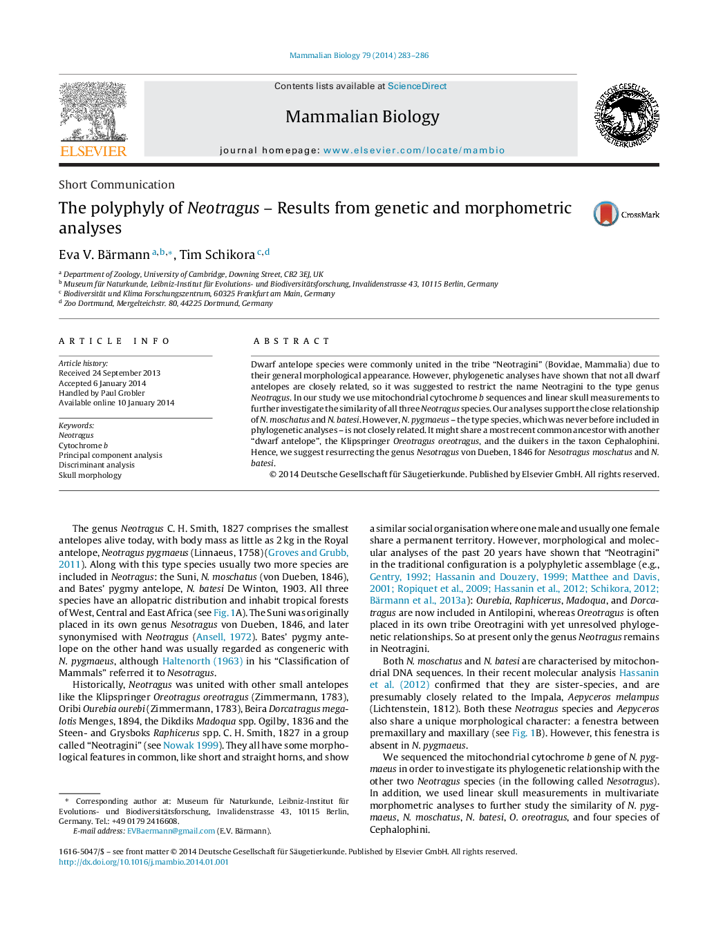 The polyphyly of Neotragus – Results from genetic and morphometric analyses