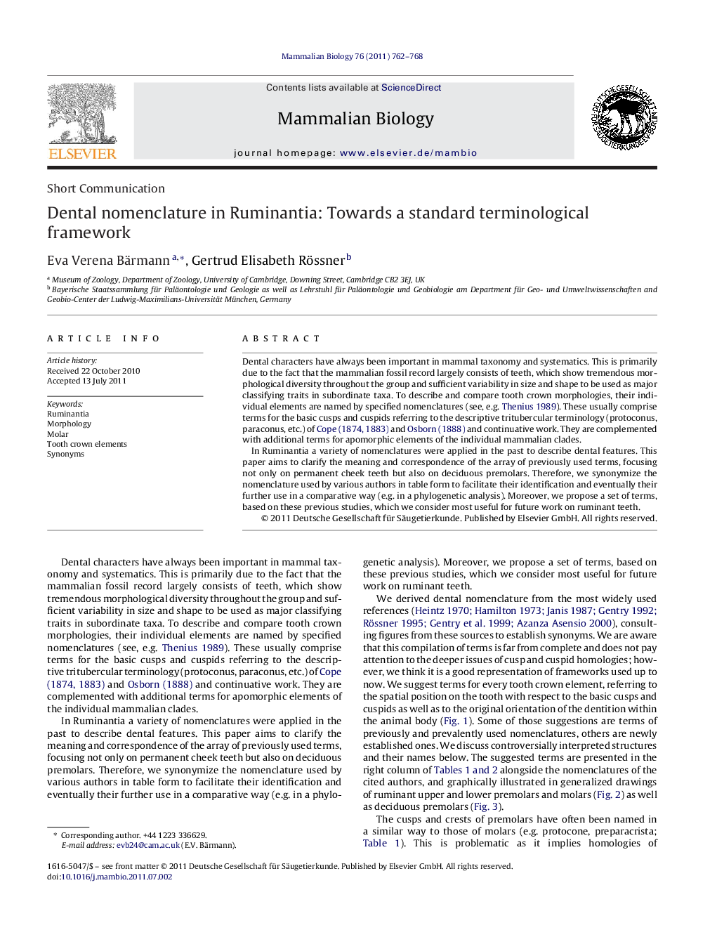 Dental nomenclature in Ruminantia: Towards a standard terminological framework