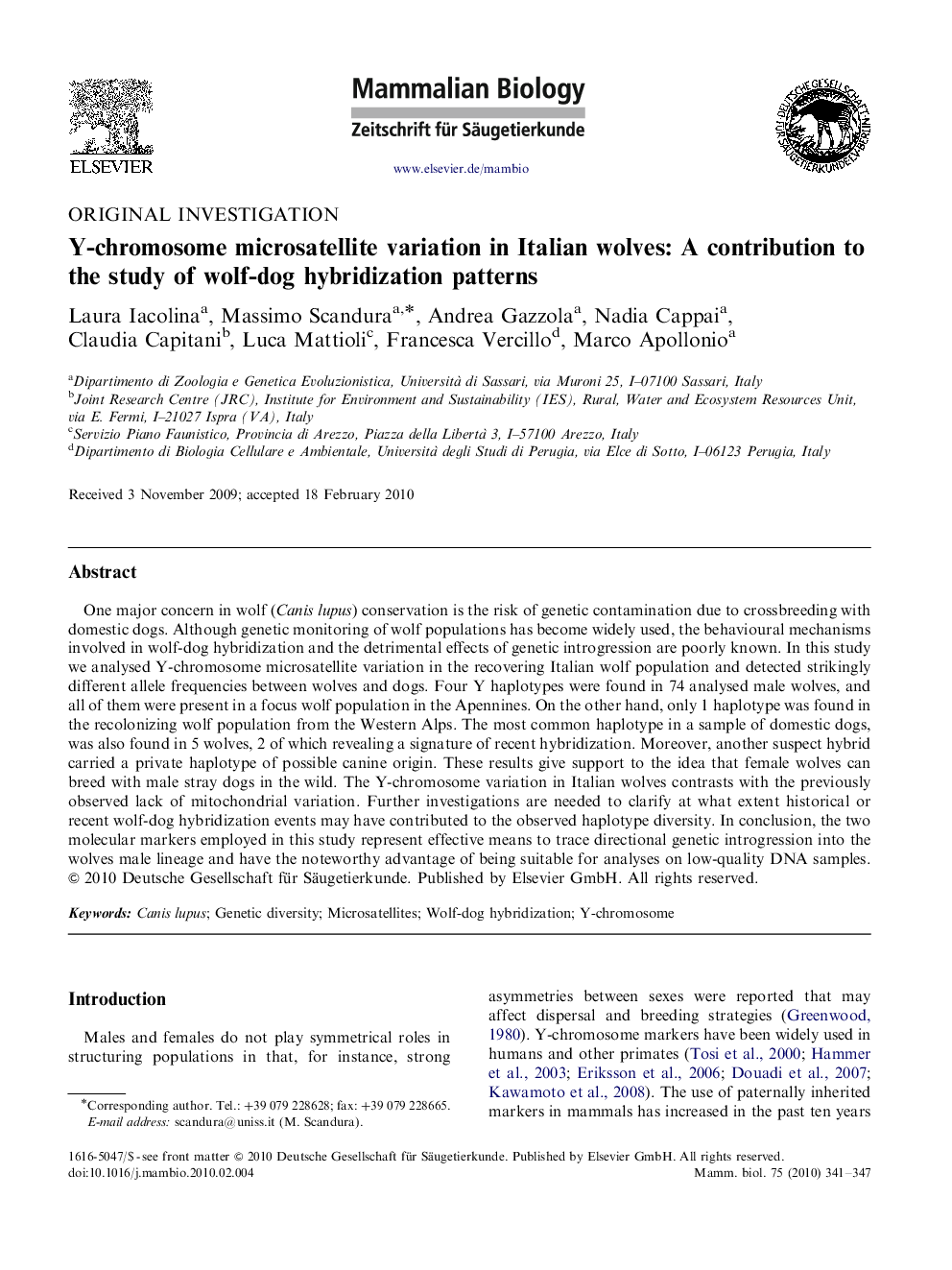 Y-chromosome microsatellite variation in Italian wolves: A contribution to the study of wolf-dog hybridization patterns