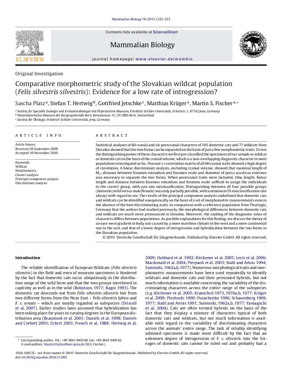 Comparative morphometric study of the Slovakian wildcat population (Felis silvestris silvestris): Evidence for a low rate of introgression?