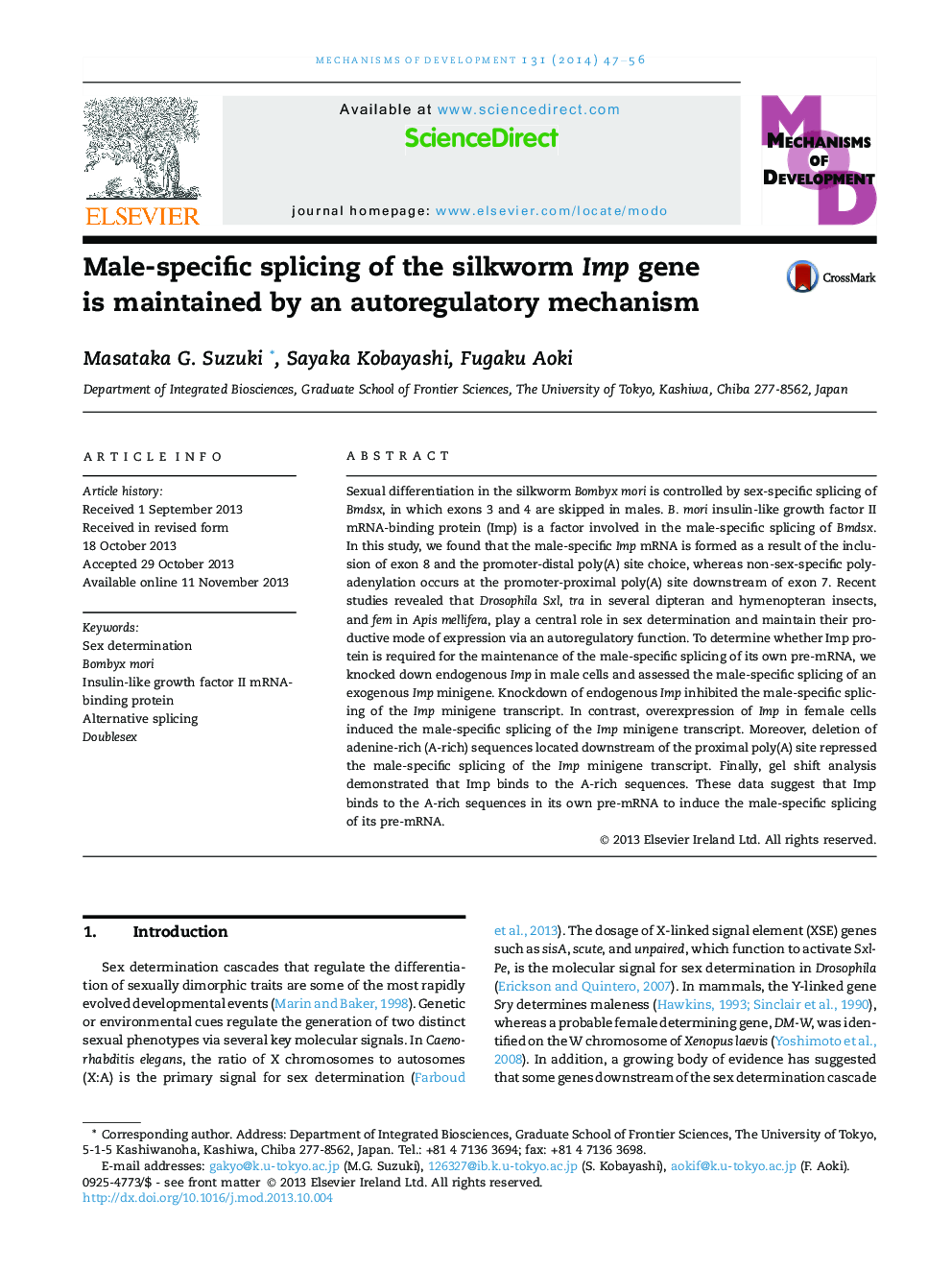 Male-specific splicing of the silkworm Imp gene is maintained by an autoregulatory mechanism