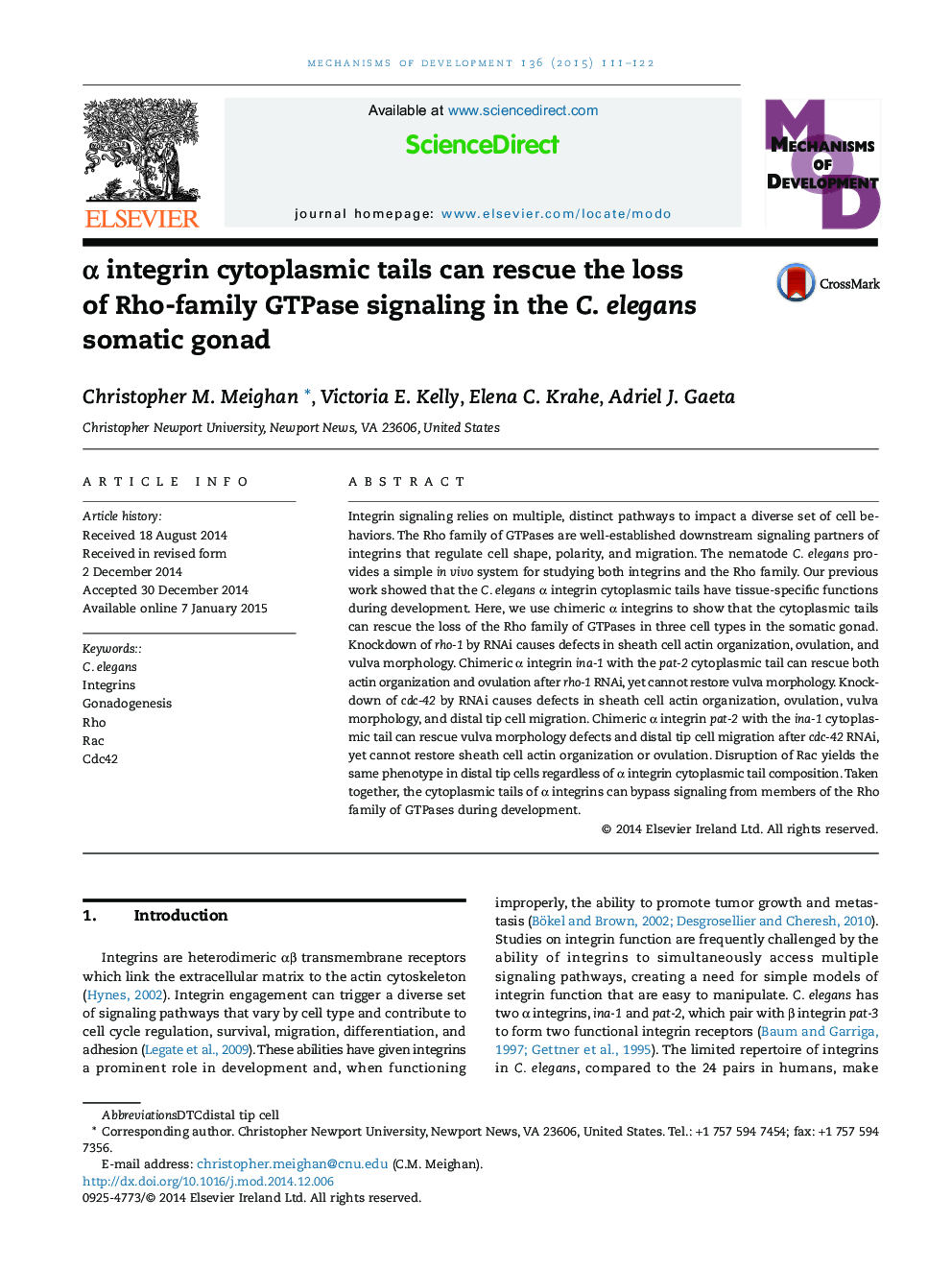 α integrin cytoplasmic tails can rescue the loss of Rho-family GTPase signaling in the C. elegans somatic gonad