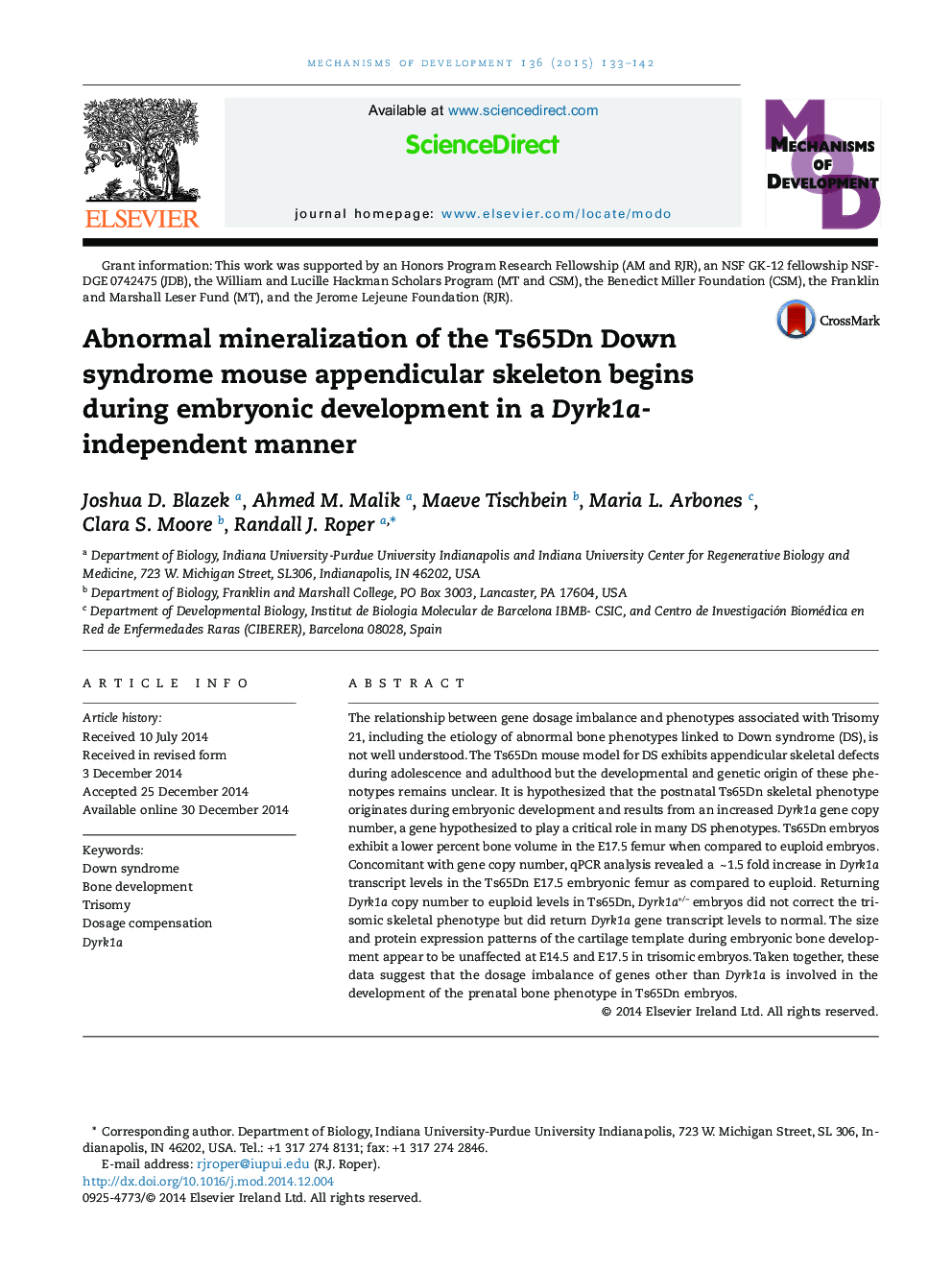 Abnormal mineralization of the Ts65Dn Down syndrome mouse appendicular skeleton begins during embryonic development in a Dyrk1a-independent manner 