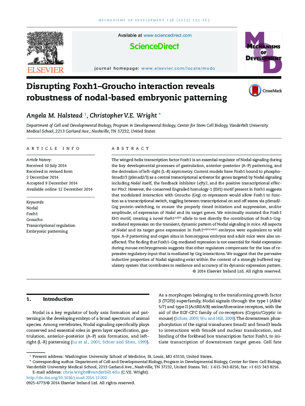 Disrupting Foxh1–Groucho interaction reveals robustness of nodal-based embryonic patterning