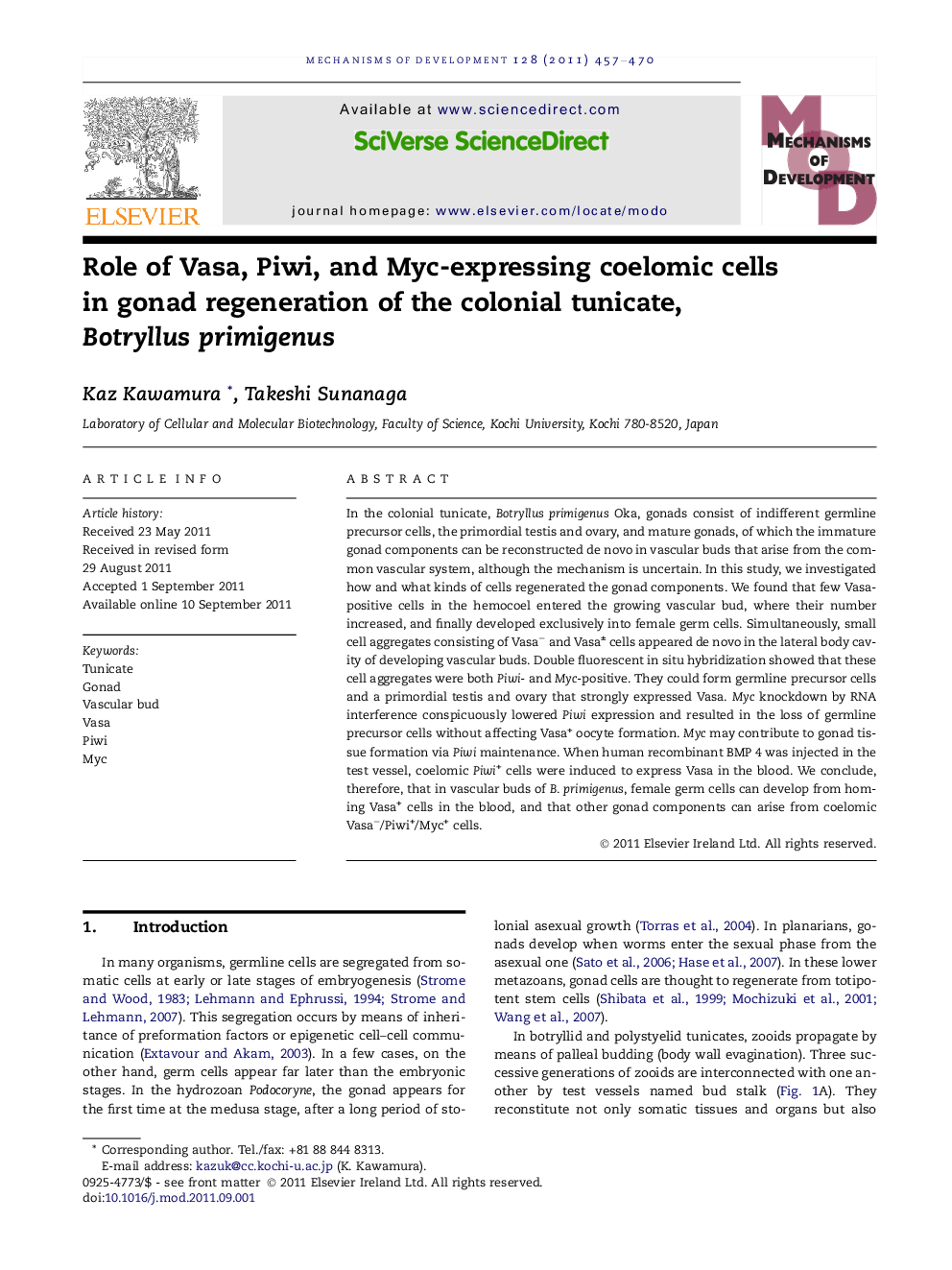 Role of Vasa, Piwi, and Myc-expressing coelomic cells in gonad regeneration of the colonial tunicate, Botryllus primigenus